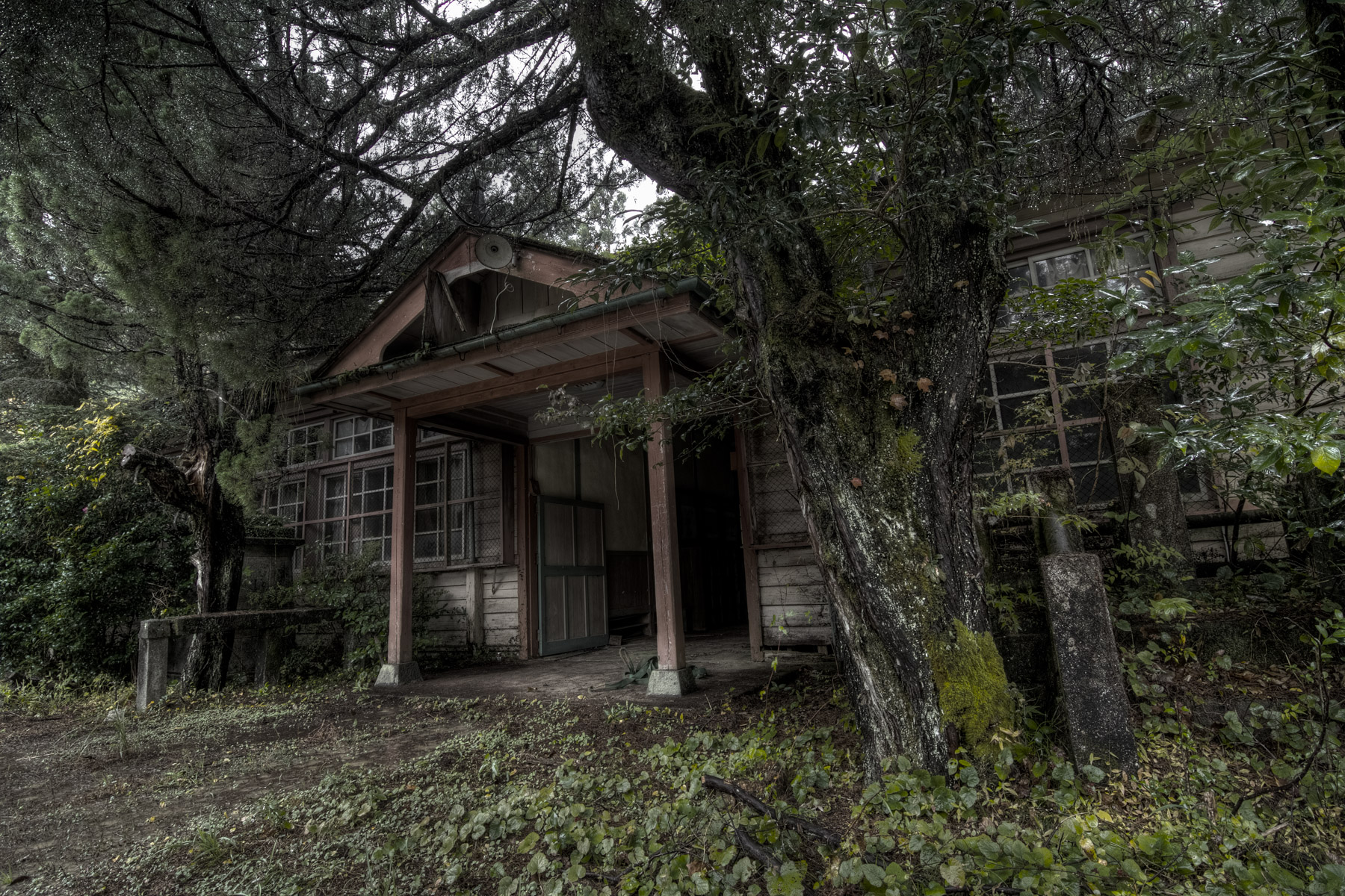 abandoned, haikyo, japan, japanese, ruin, school, shikoku, urban exploration, urbex