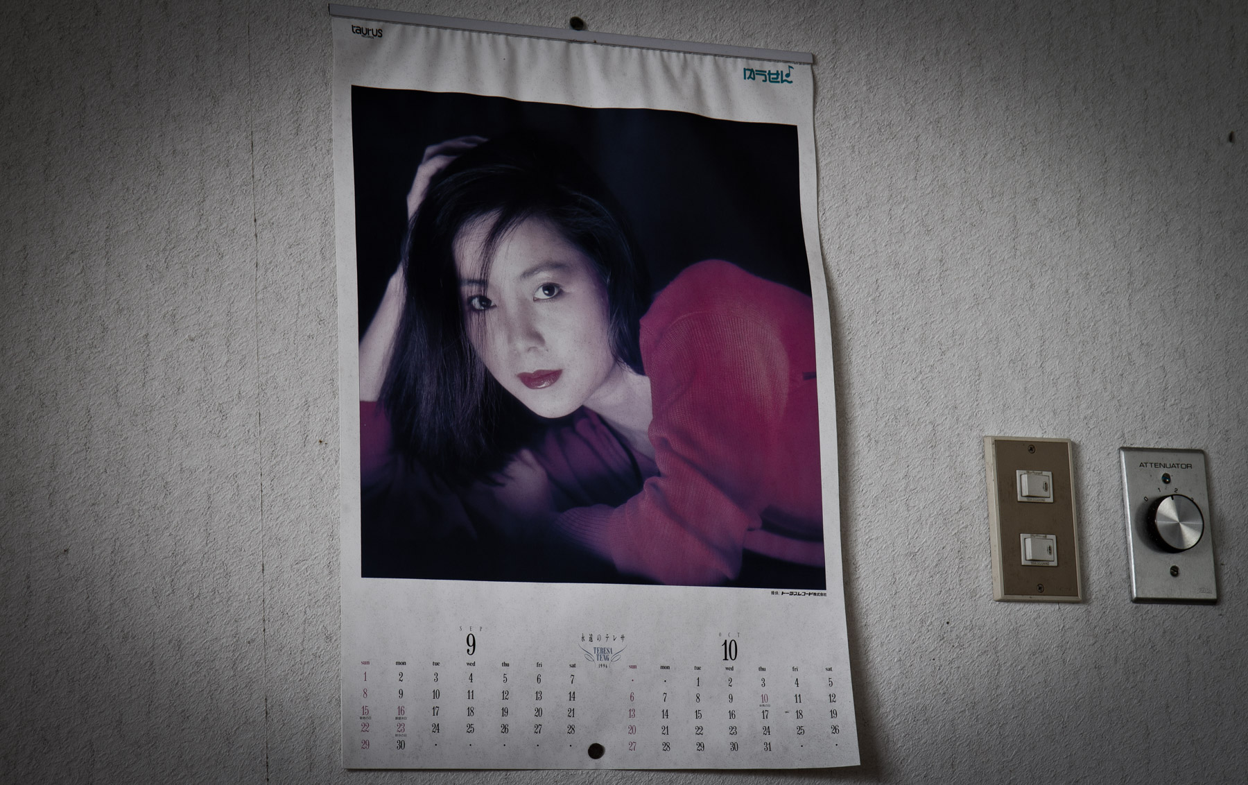 abandoned, haikyo, japan, japanese, restaurant, ruin, shikoku, urban exploration, urbex