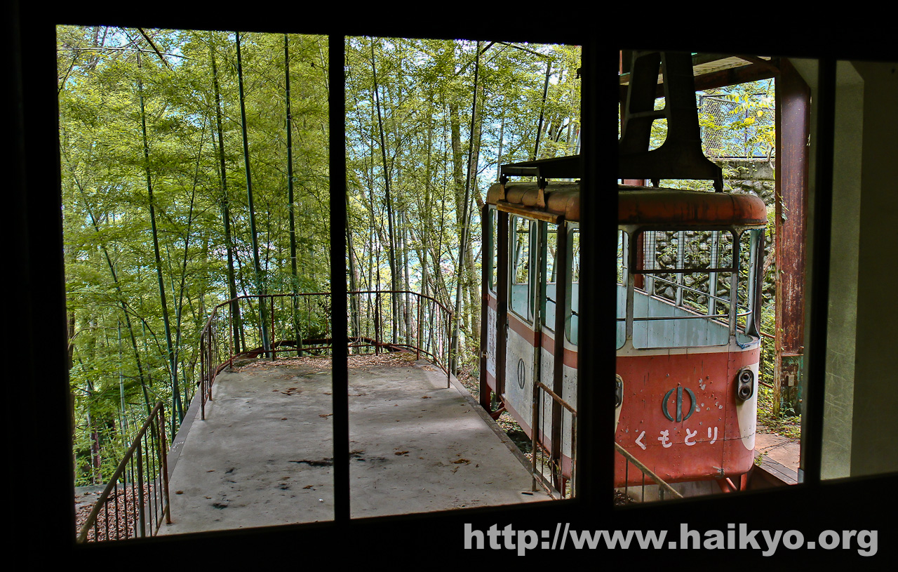 Okutama Ropeway - Carriage