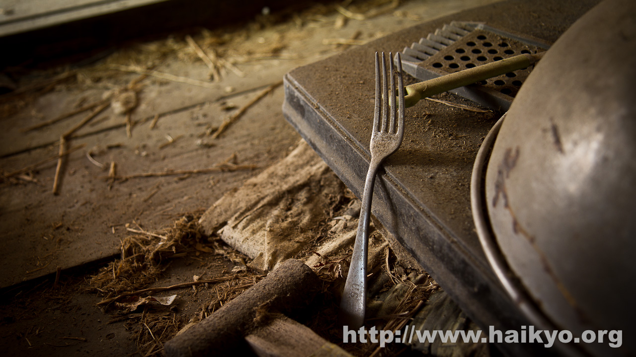 Sanno - Fork