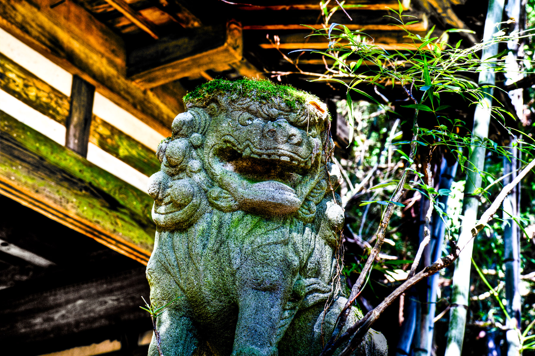 abandoned, haikyo, ruin, urban exploration, urbex, village