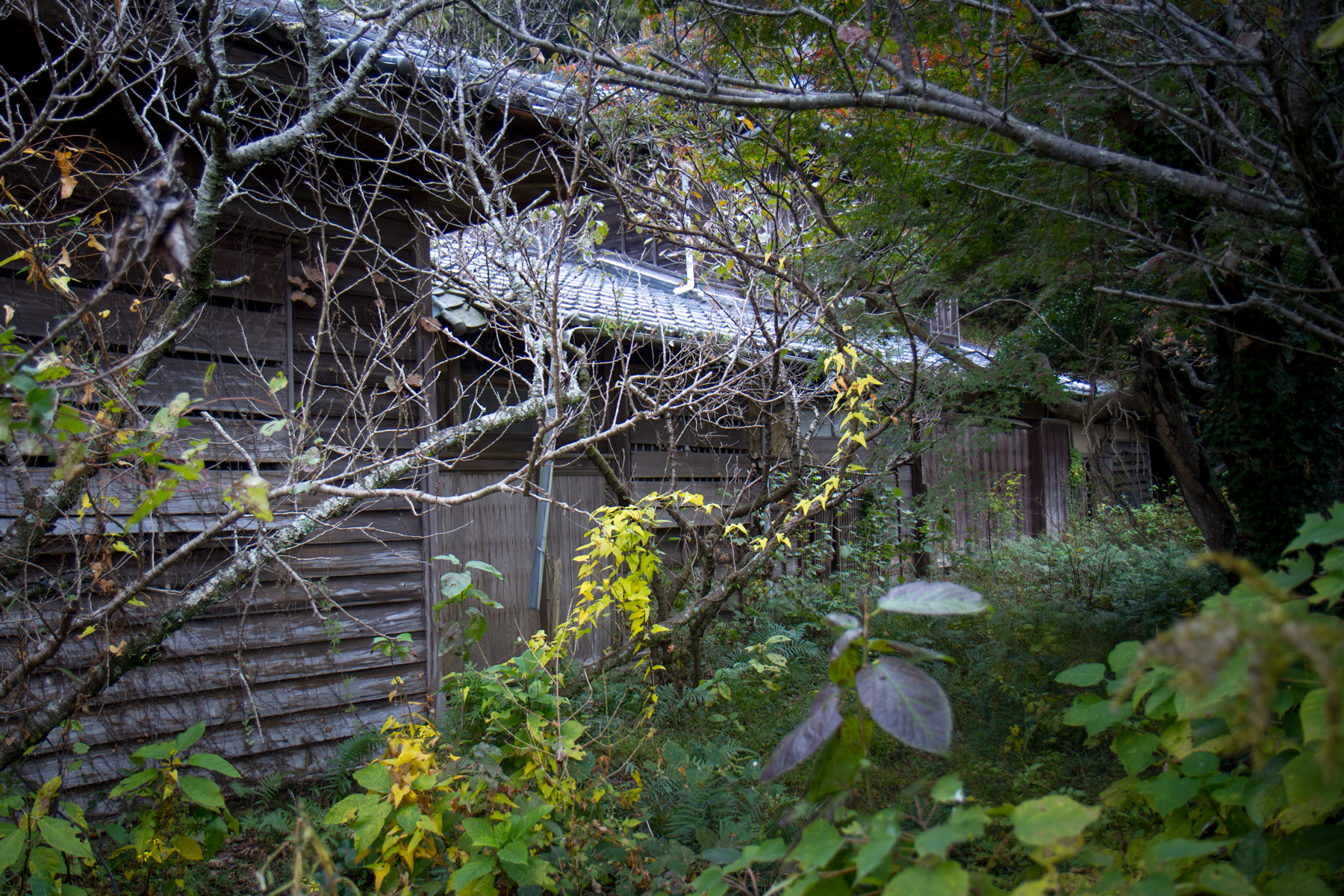 abandoned, haikyo, hospital, japan, japanese, ruin, shikoku, urban exploration, urbex