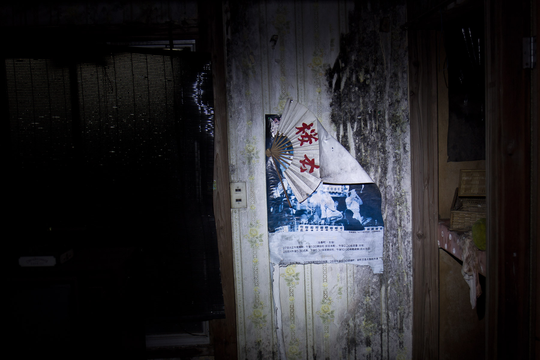 abandoned, haikyo, house, ibaraki, japan, japanese, kanto, ruin, urban exploration, urbex