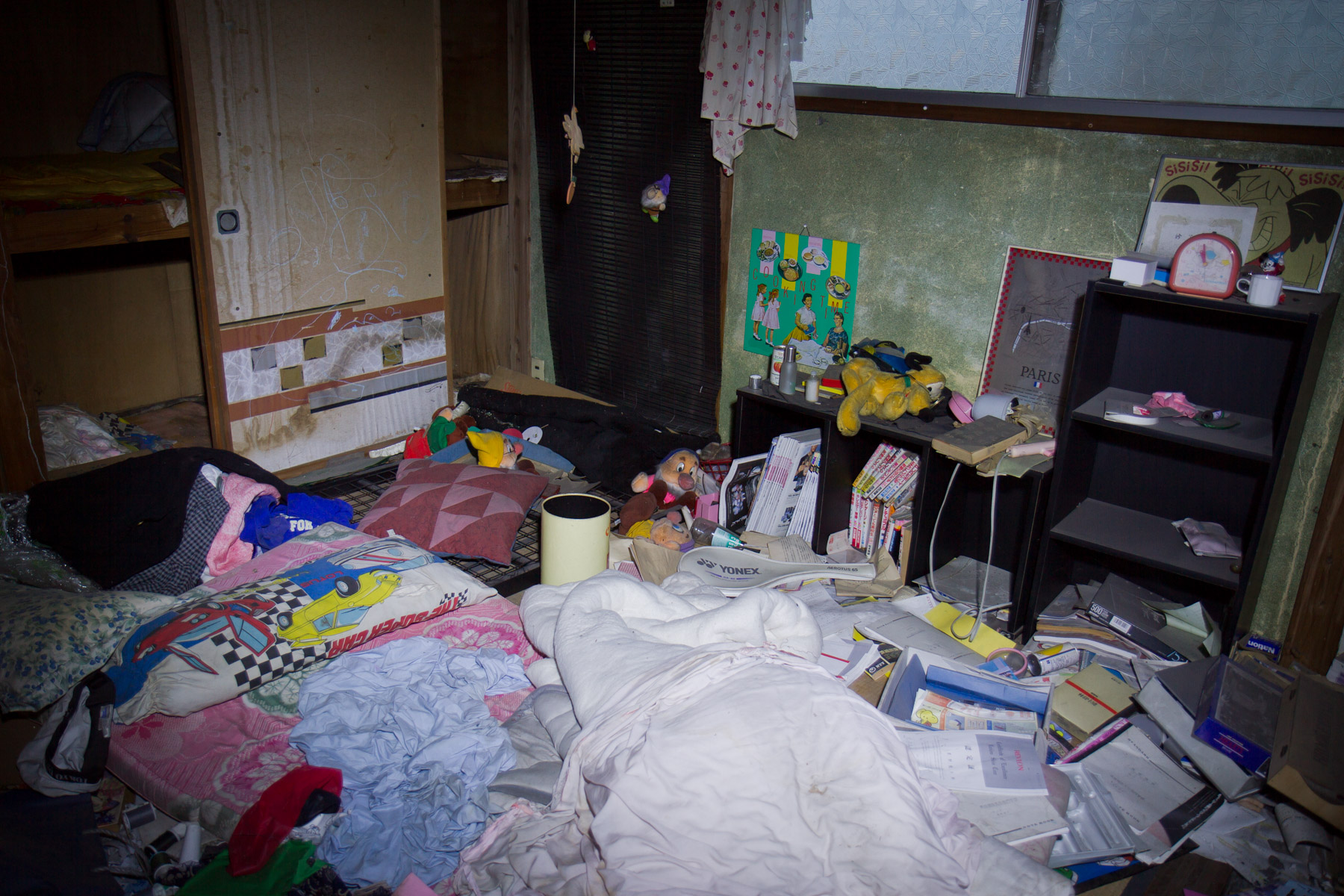 abandoned, haikyo, house, ibaraki, japan, japanese, kanto, ruin, urban exploration, urbex