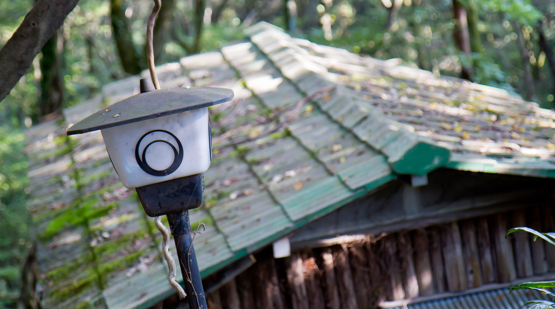 abandoned, haikyo, ruin, urban exploration, urbex