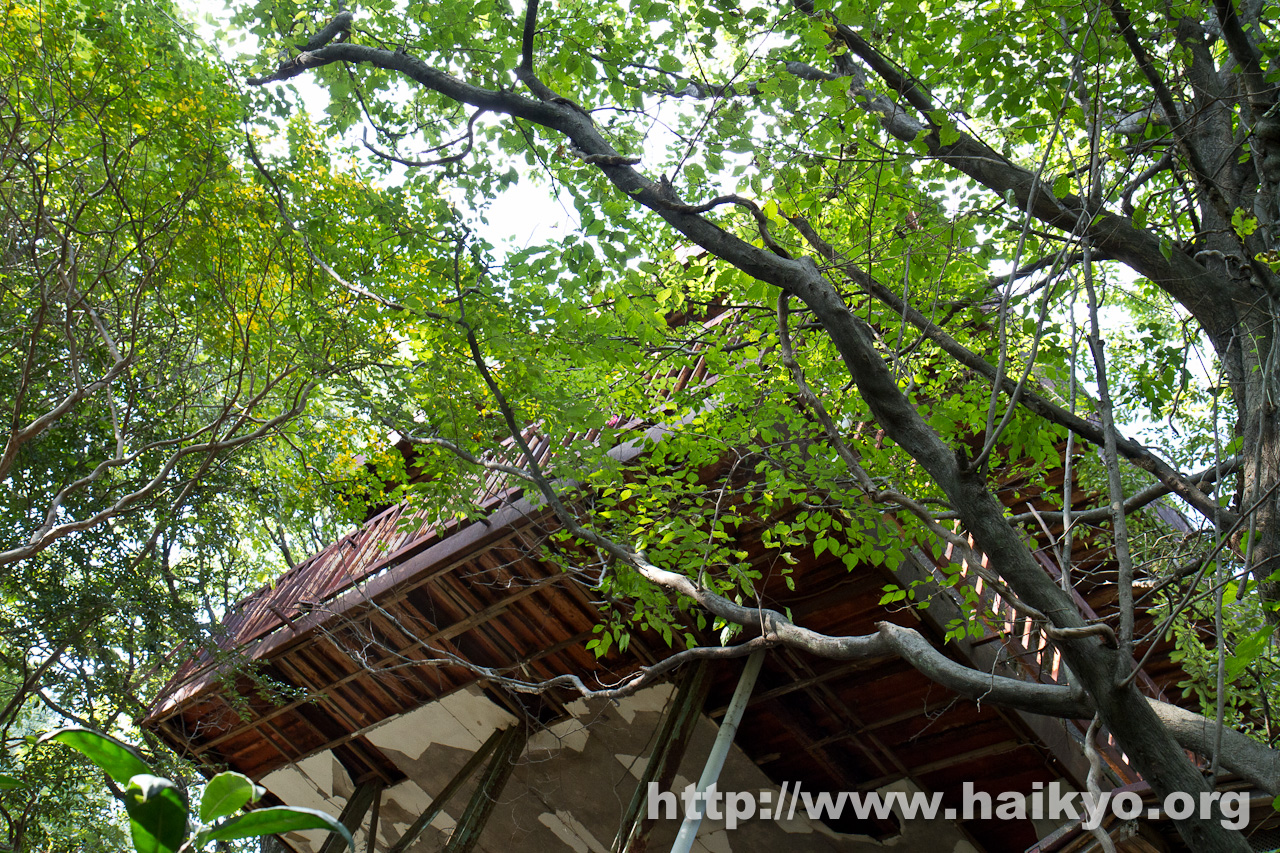 Akasaka Restaurant - Main Building