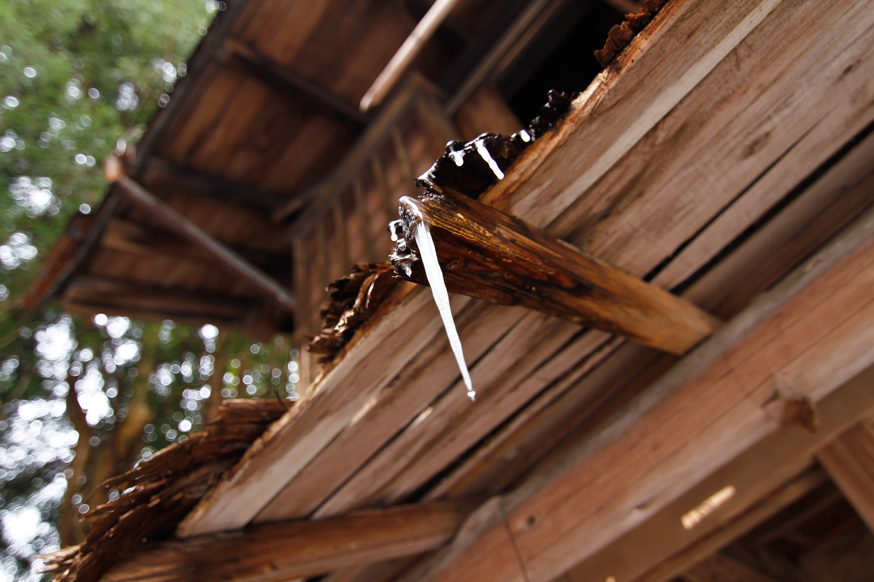abandoned, haikyo, ruin, urban exploration, urbex