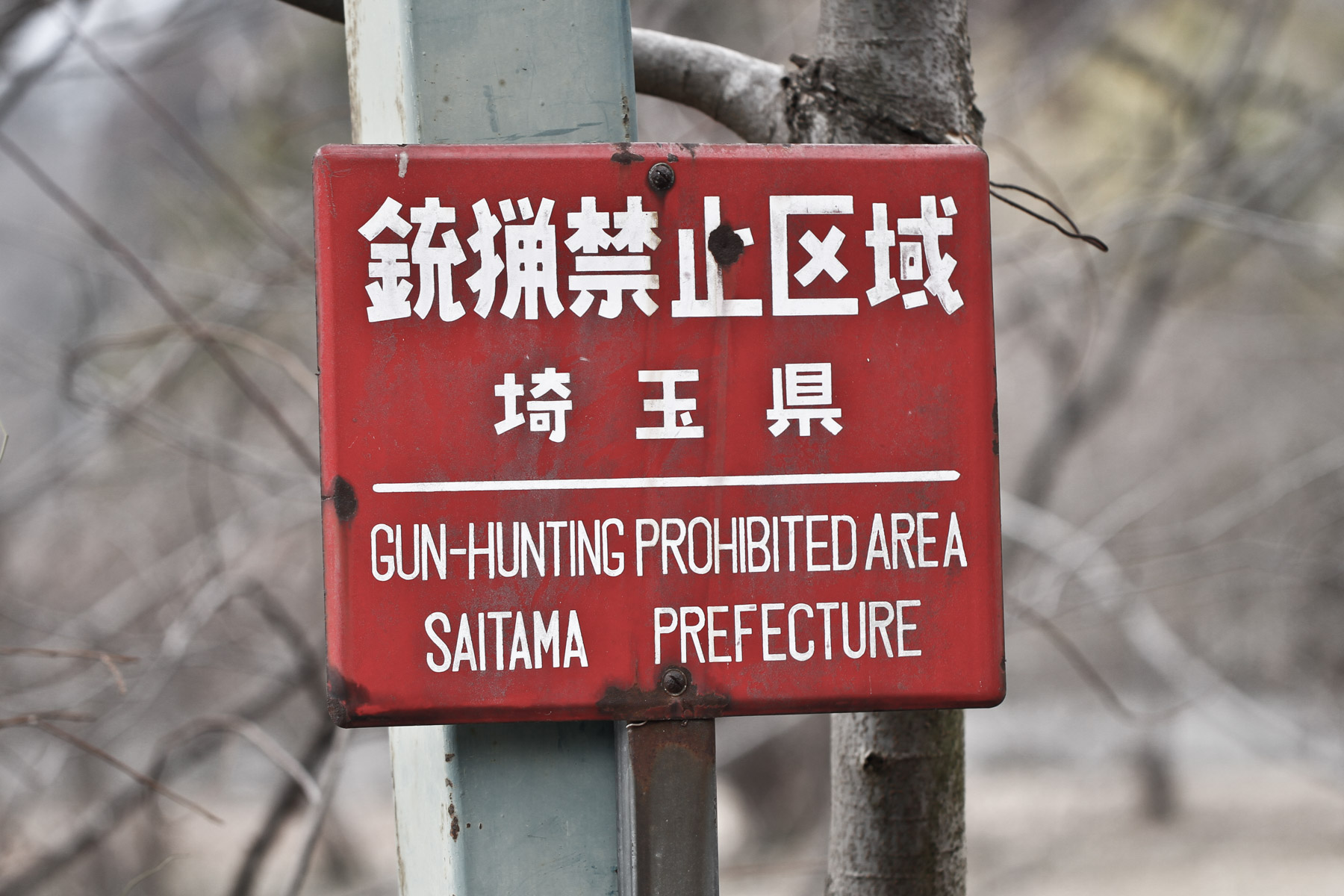 abandoned, haikyo, ruin, urban exploration, urbex