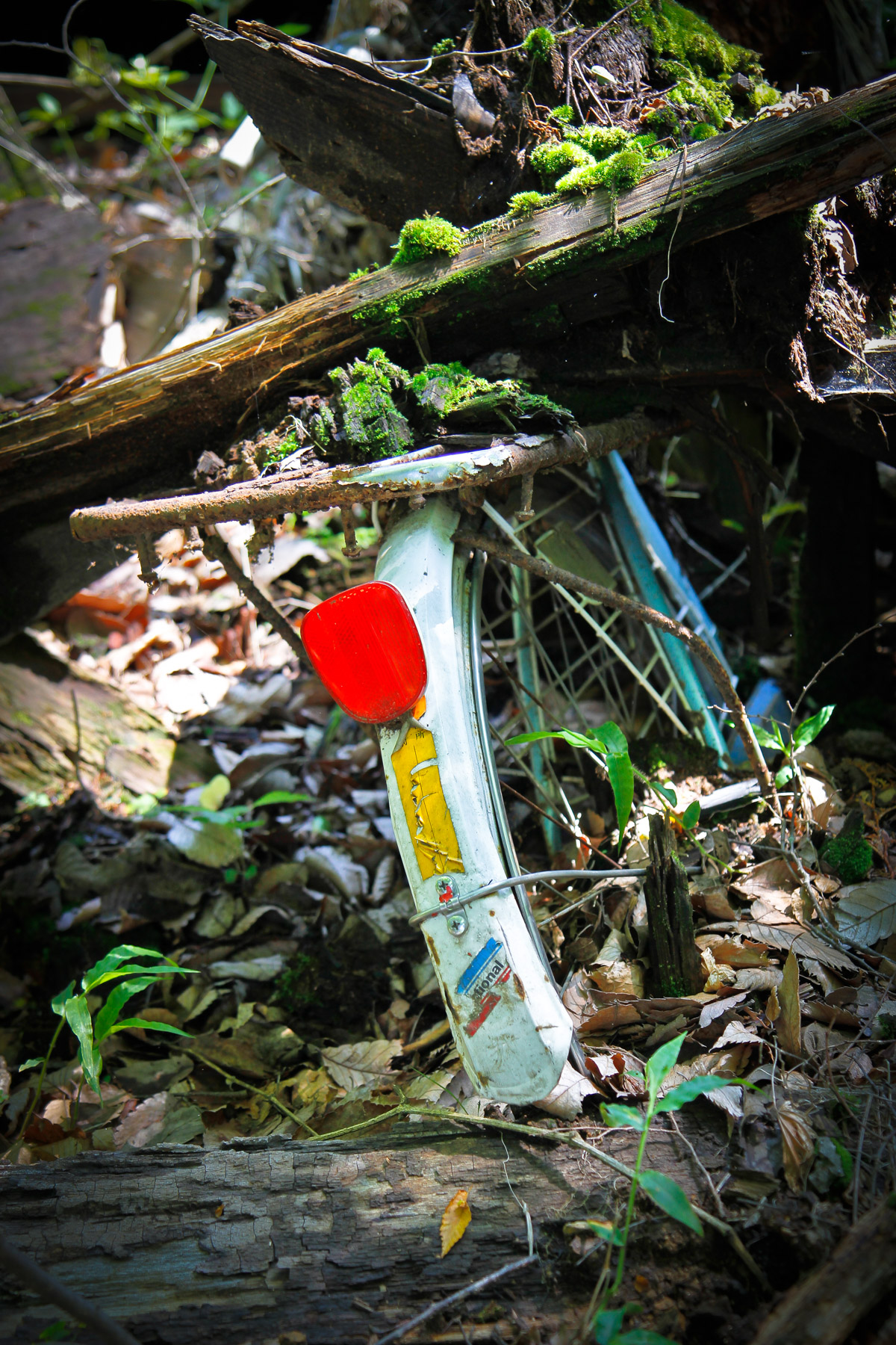 abandoned, chubu, haikyo, japan, japanese, ruin, school, urban exploration, urbex, yamanashi