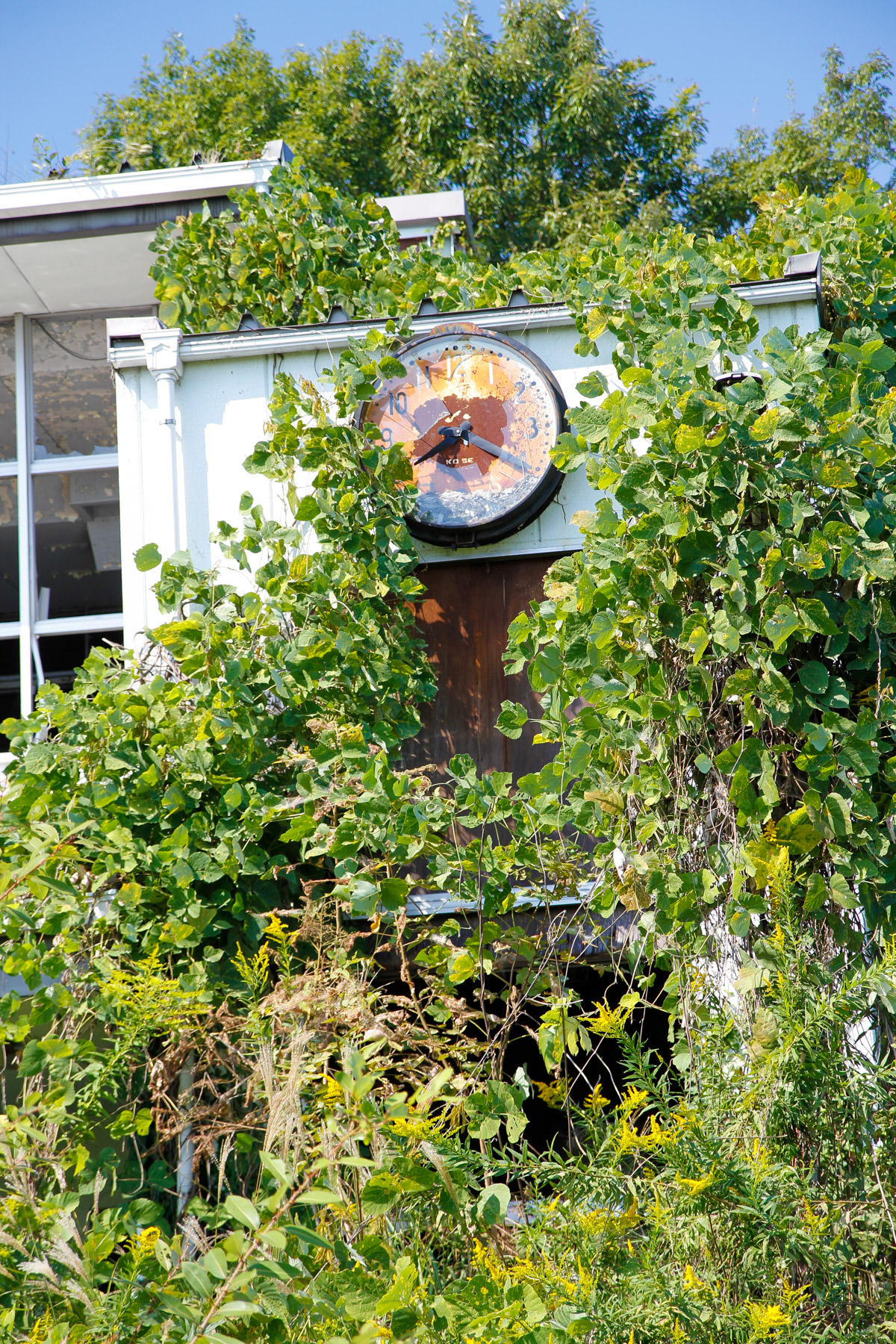 abandoned, chubu, gifu, haikyo, japan, japanese, ruin, school, urban exploration, urbex