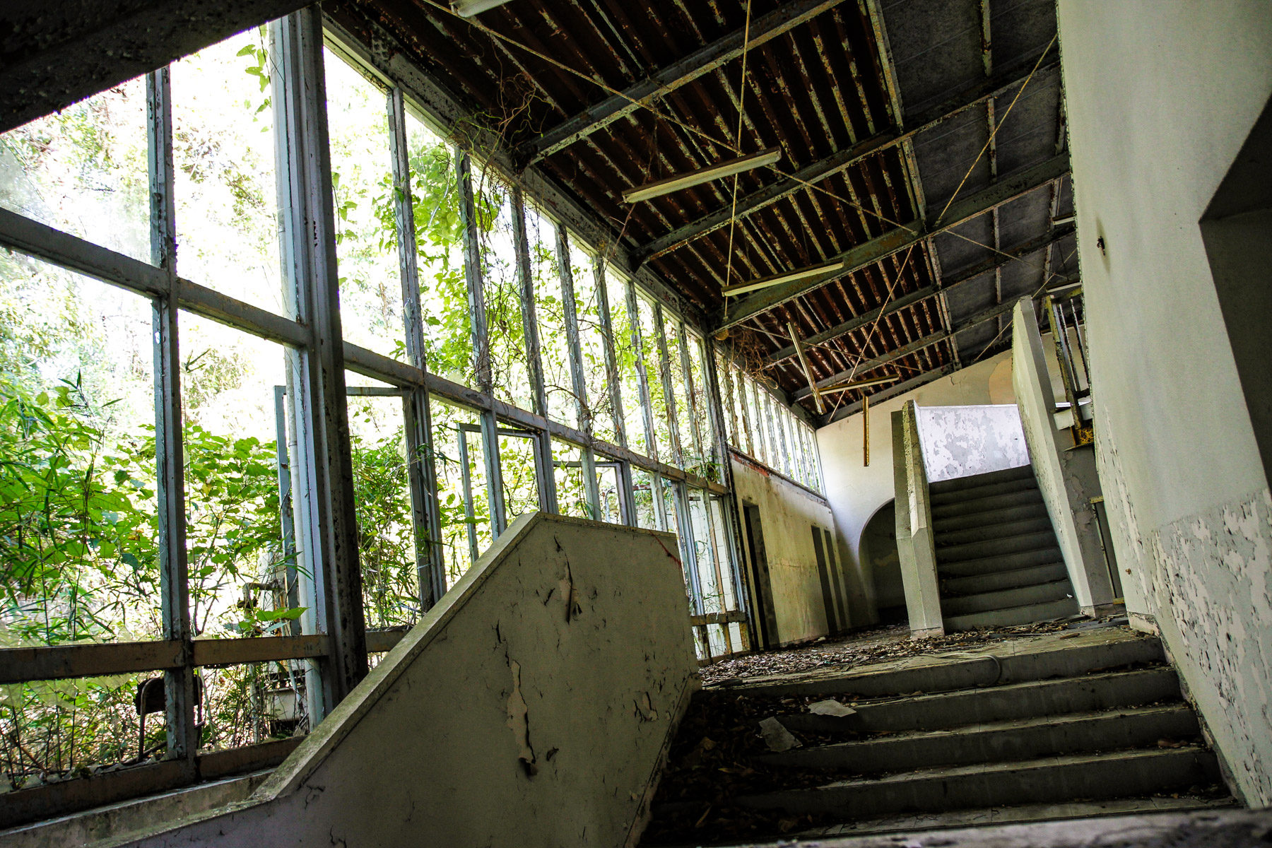 abandoned, chubu, gifu, haikyo, japan, japanese, ruin, school, urban exploration, urbex