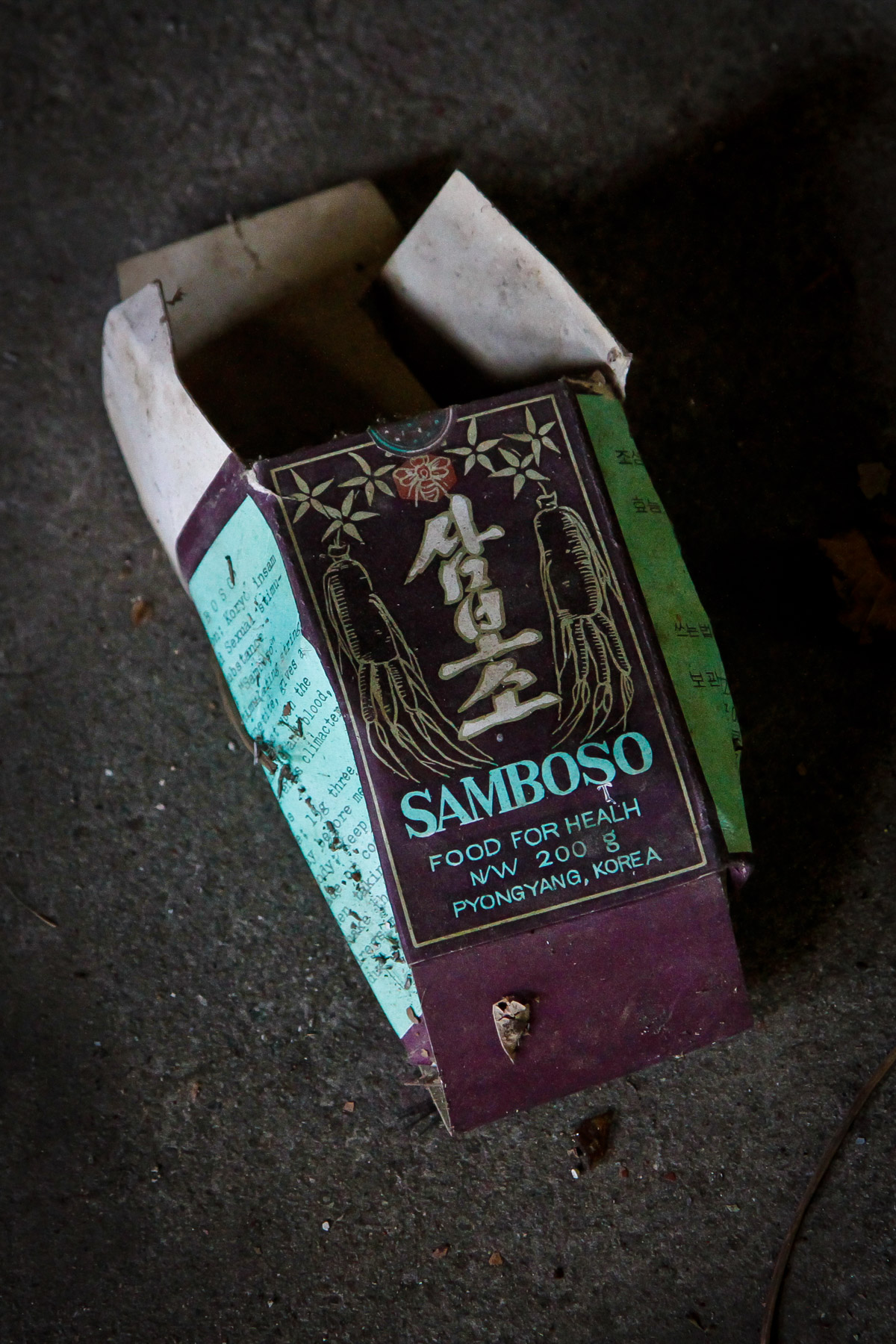 abandoned, chubu, gifu, haikyo, japan, japanese, ruin, school, urban exploration, urbex