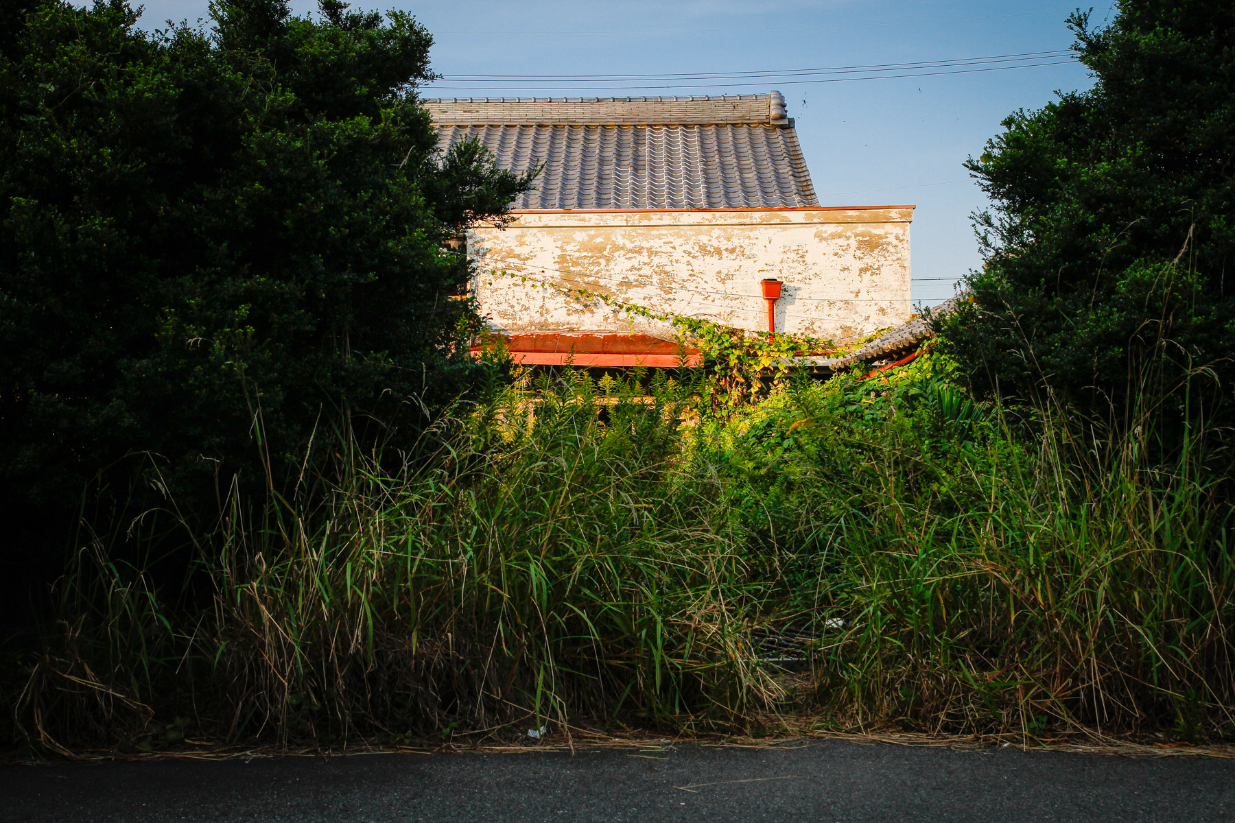 abandoned, haikyo, hospital, ruin, urban exploration, urbex