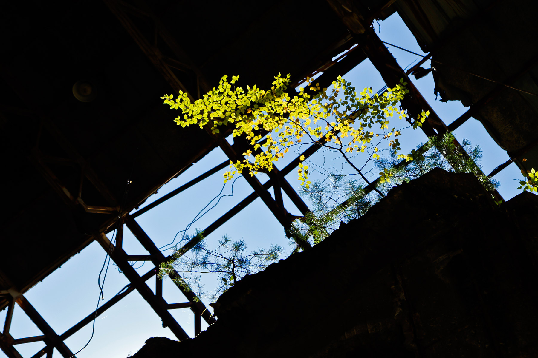 abandoned, factory, haikyo, iwate, japan, japanese, mine, ruin, tohoku, urban exploration, urbex