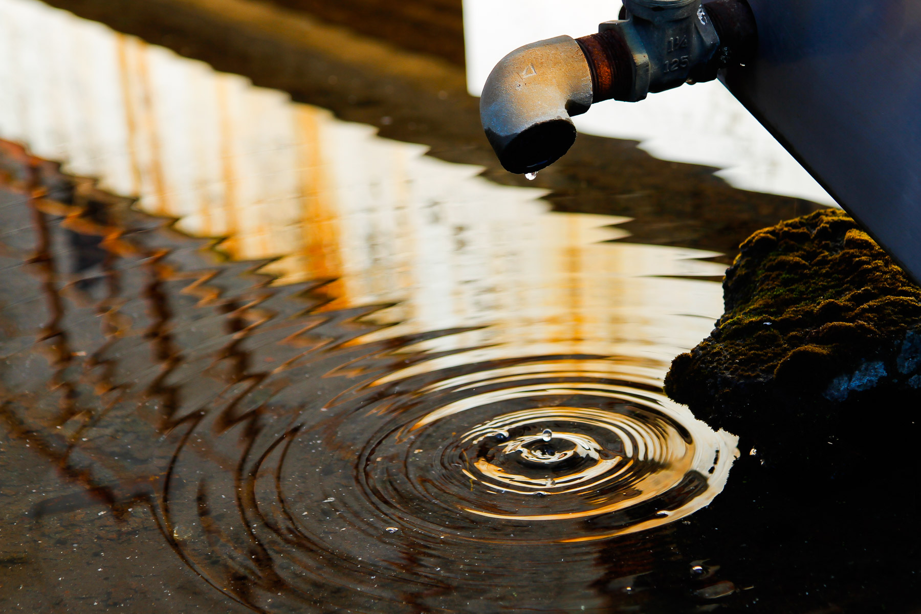 abandoned, haikyo, ruin, urban exploration, urbex