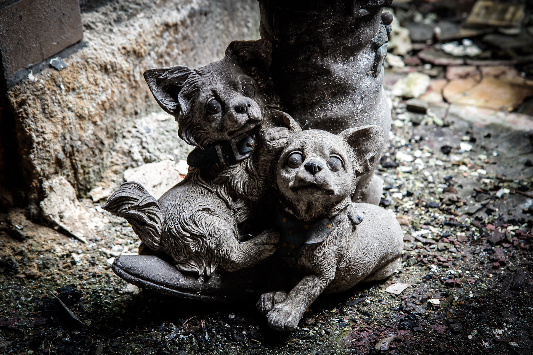 abandoned, apartment, haikyo, japan, japanese, kanto, ruin, tokyo, urban exploration, urbex