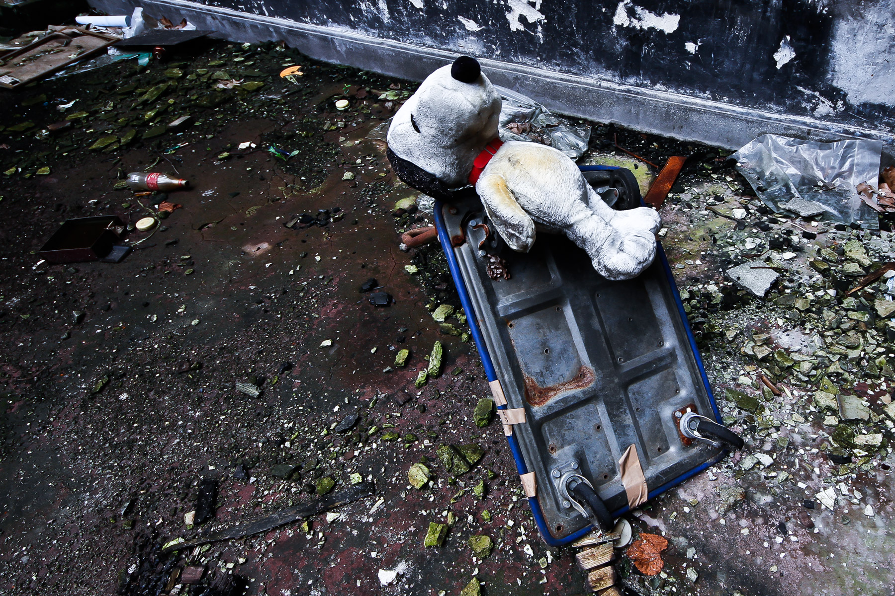 abandoned, apartment, haikyo, japan, japanese, kanto, ruin, tokyo, urban exploration, urbex