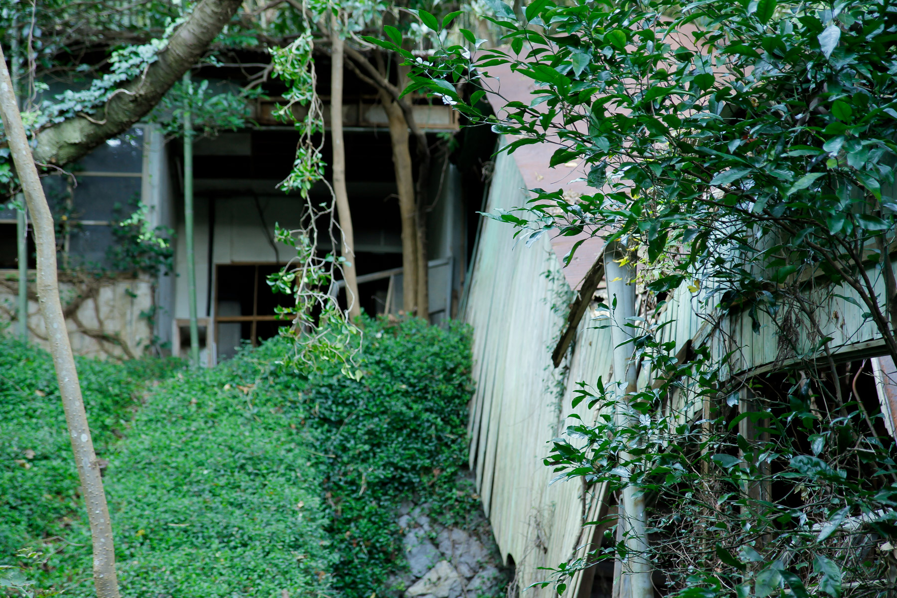 abandoned, haikyo, hospital, ruin, urban exploration, urbex