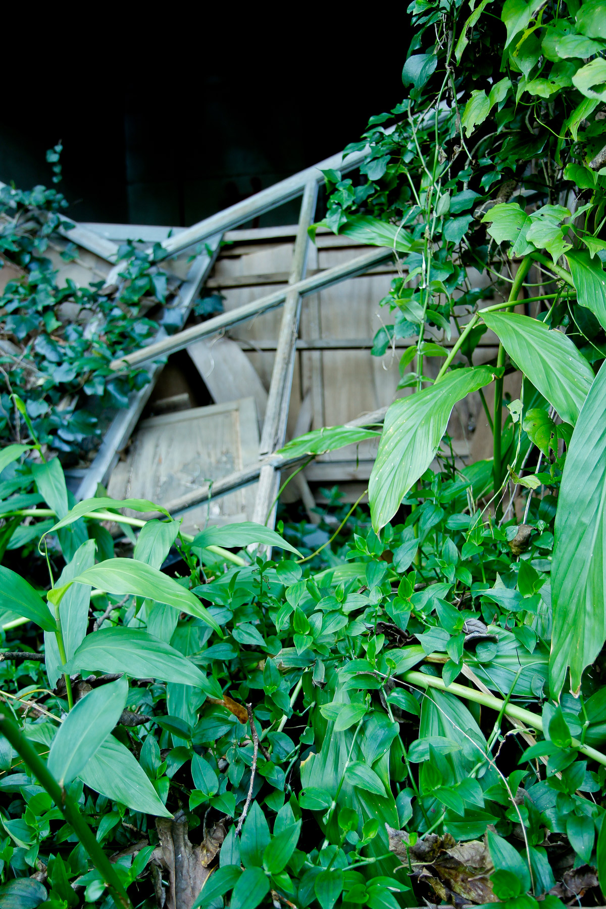 abandoned, haikyo, hospital, ruin, urban exploration, urbex