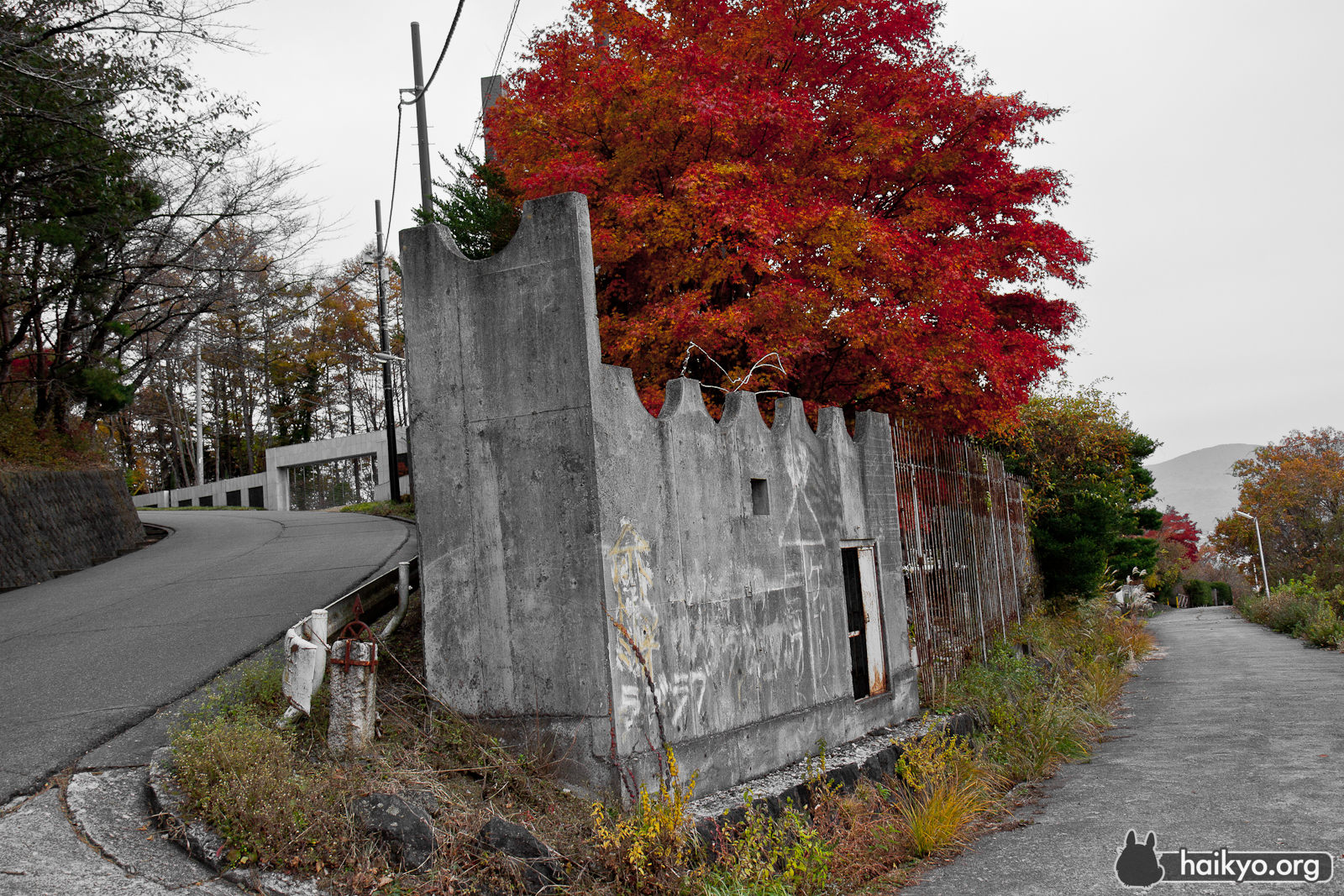 Autumn at the Nazi Museum