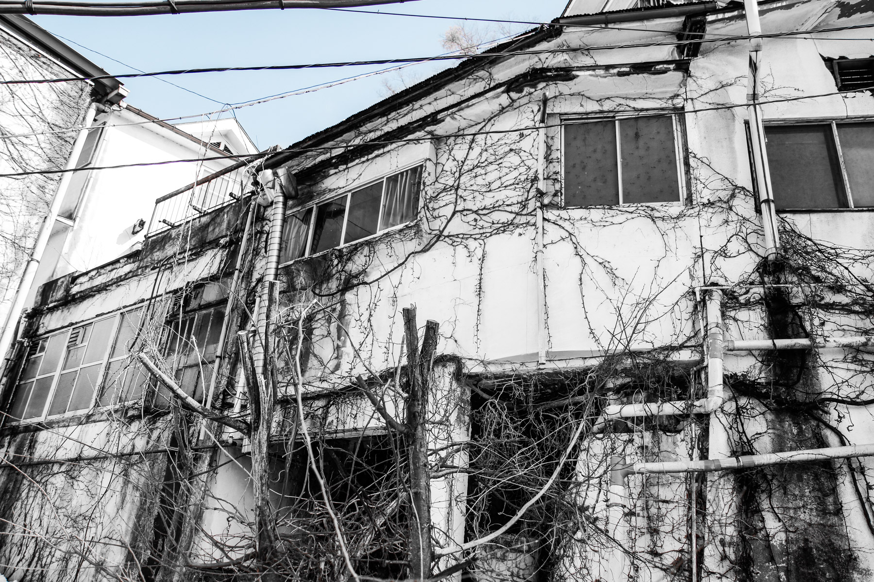 abandoned, chubu, haikyo, japan, japanese, ruin, urban exploration, urbex, yamanashi
