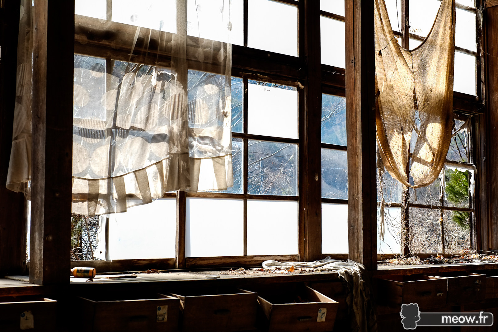 Curtains of Tenshin School