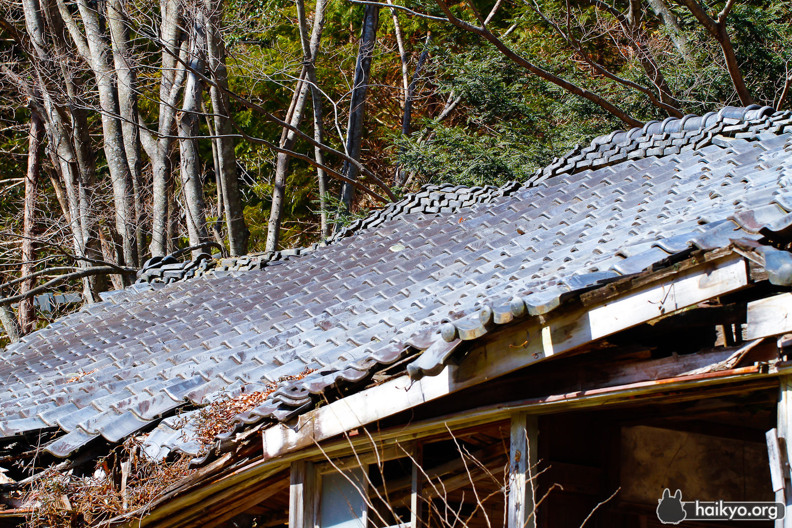 Demolished roof of the Tenshin School
