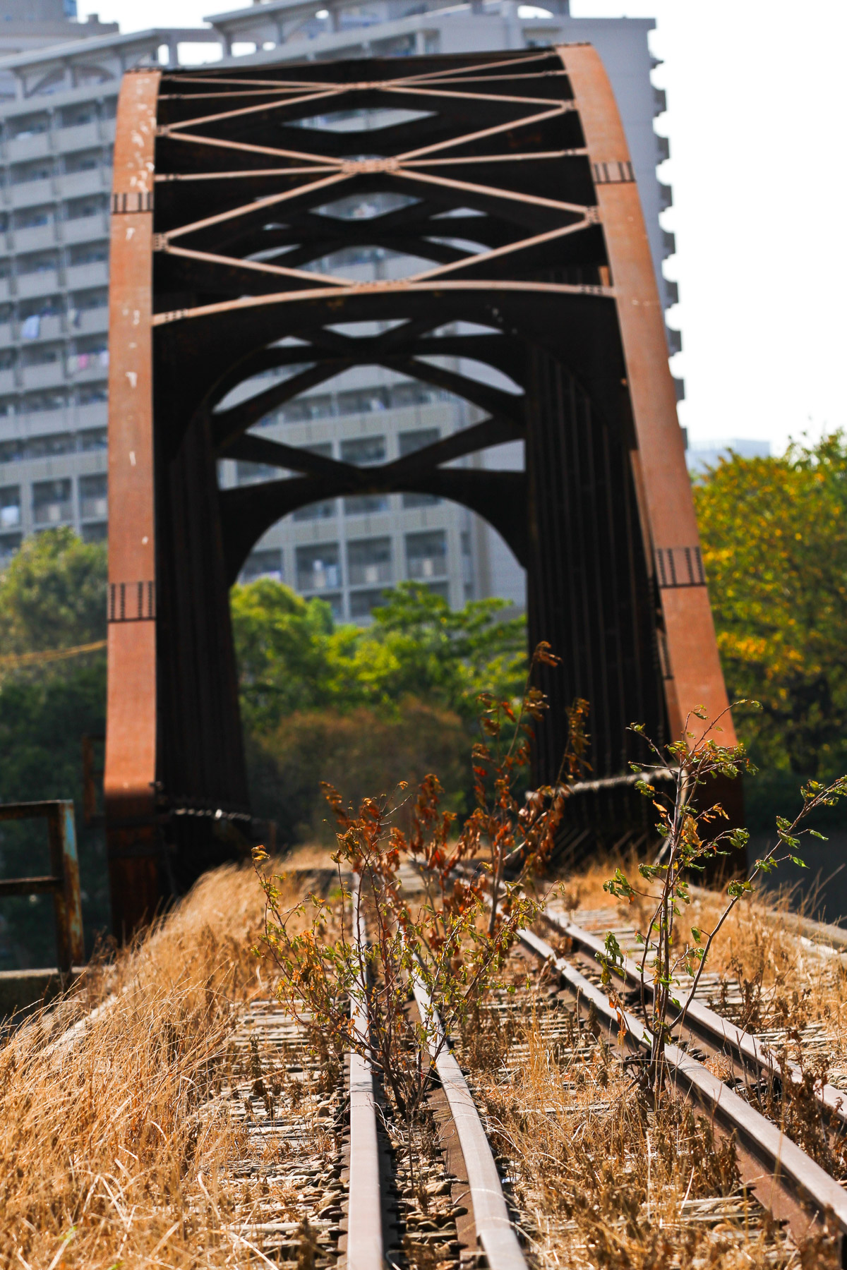 abandoned, haikyo, ruin, urban exploration, urbex
