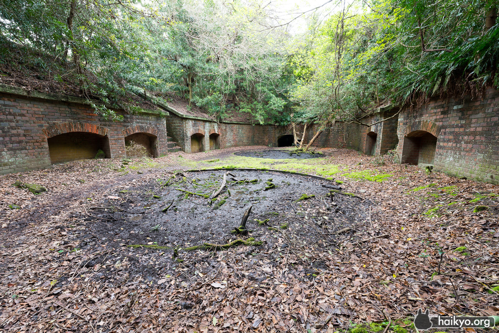 Galleries of Tomogashima