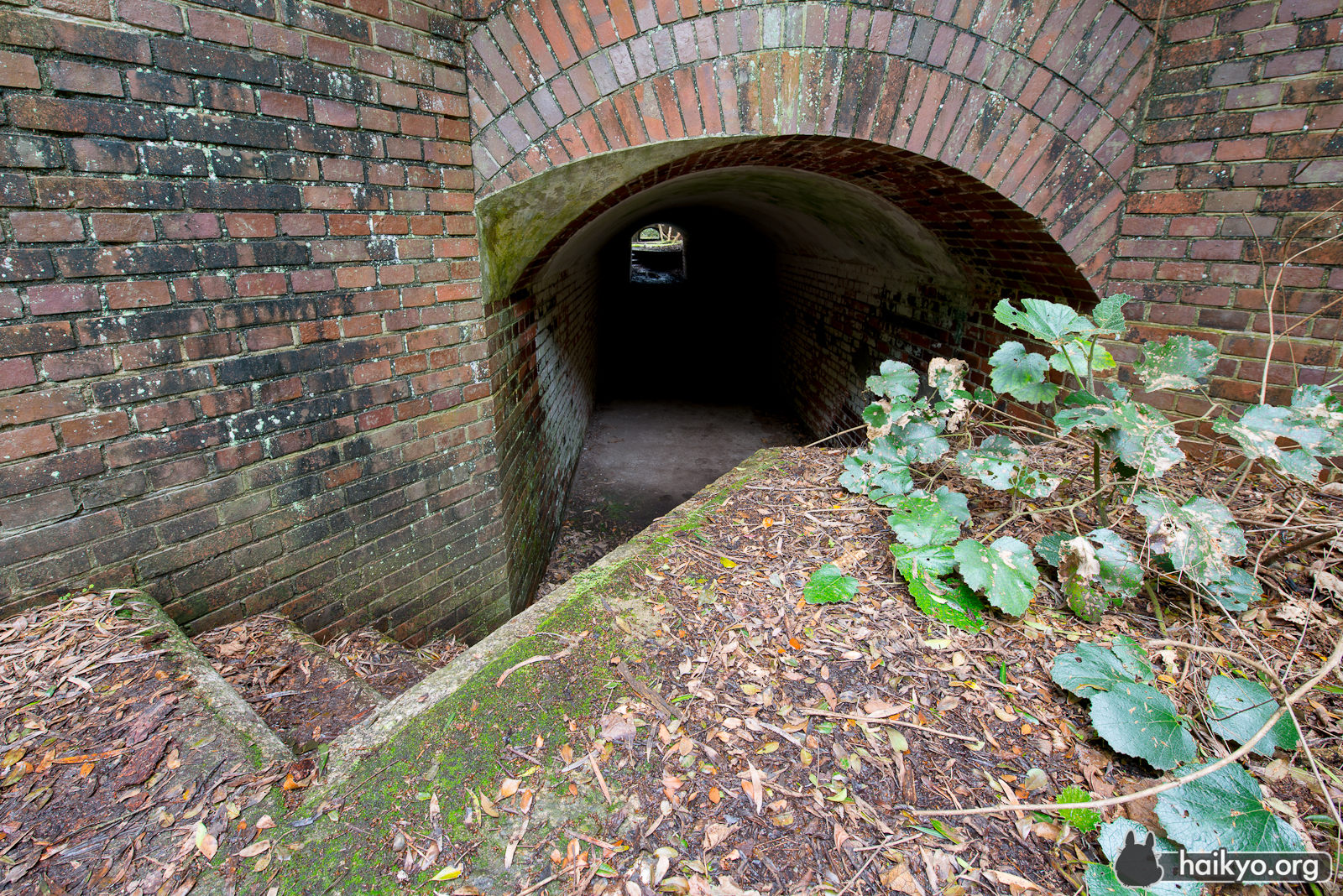 Tunnel at Tomogashima