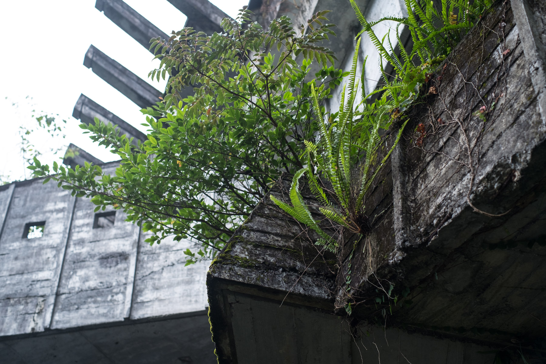 abandoned, chubu, haikyo, hospital, izu peninsula, japan, japanese, ruin, shizuoka, urban exploration, urbex