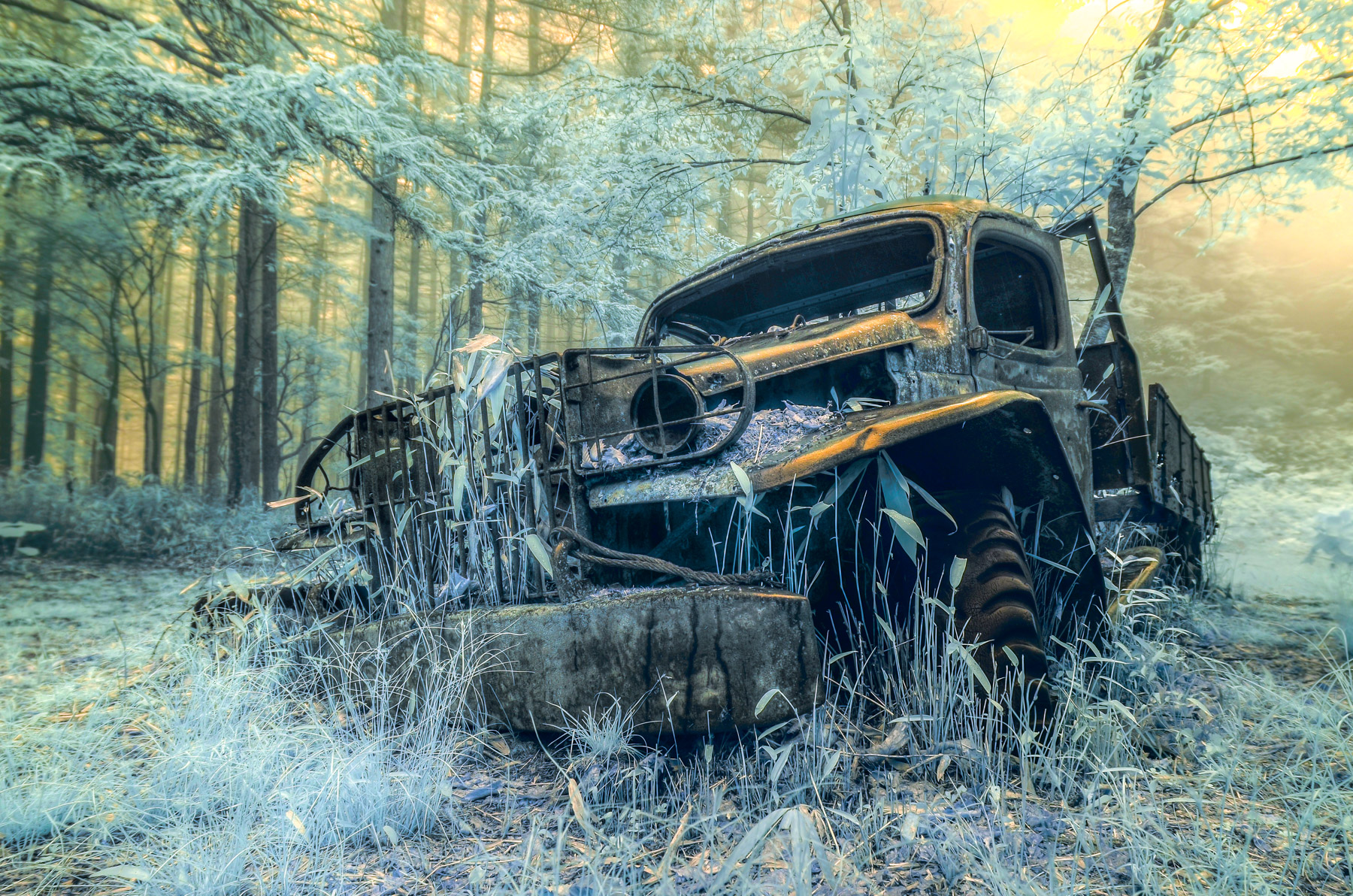 abandoned, car, chubu, haikyo, japan, japanese, ruin, thing, transport, transportation, urban exploration, urbex, yamanashi