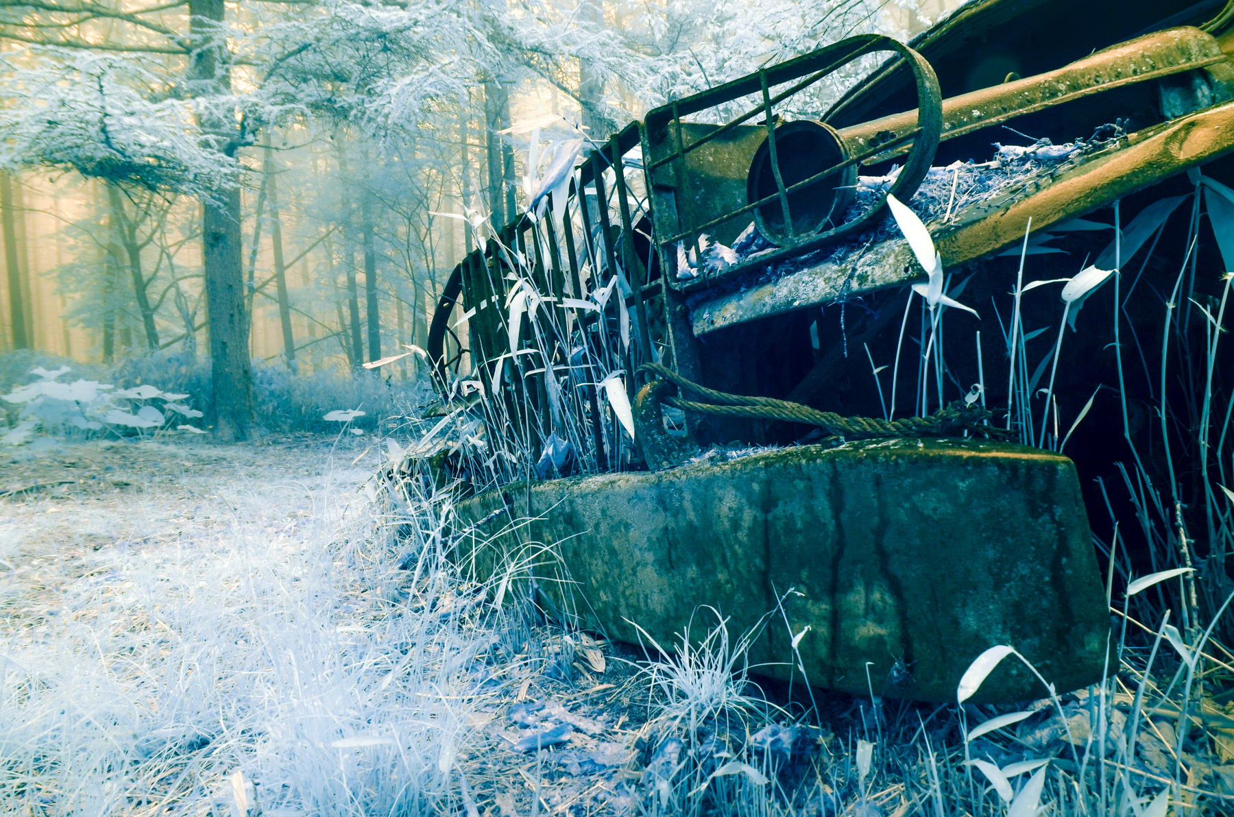 abandoned, car, chubu, haikyo, infrared, japan, japanese, ruin, special, thing, transport, transportation, urban exploration, urbex, yamanashi