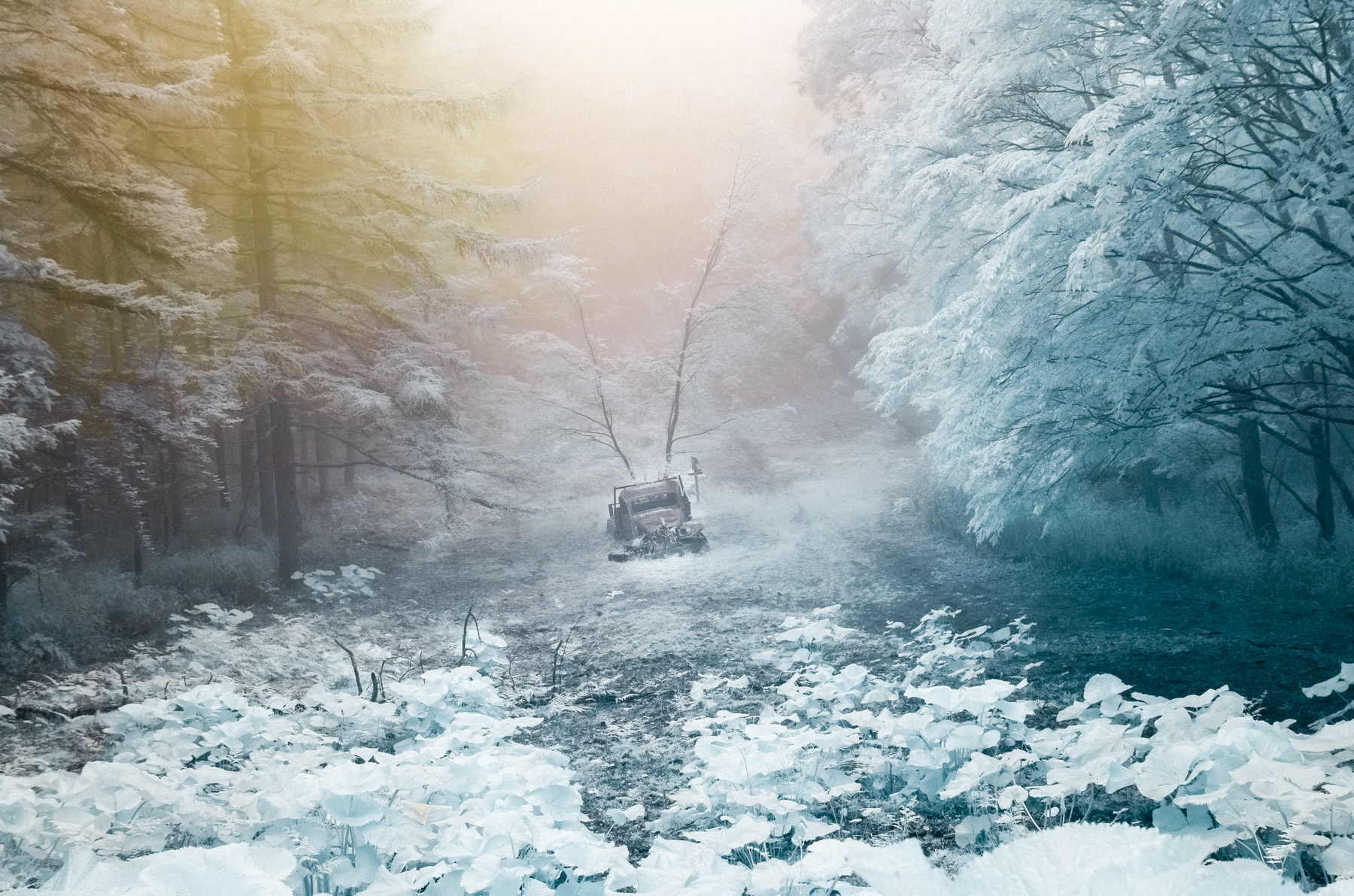 abandoned, car, chubu, haikyo, infrared, japan, japanese, ruin, special, thing, transport, transportation, urban exploration, urbex, yamanashi
