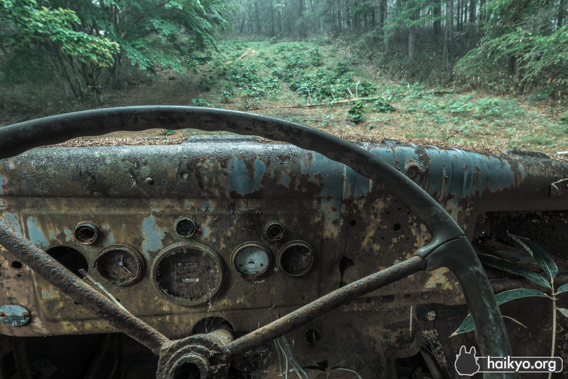 Inside the Haikyo Ford Car