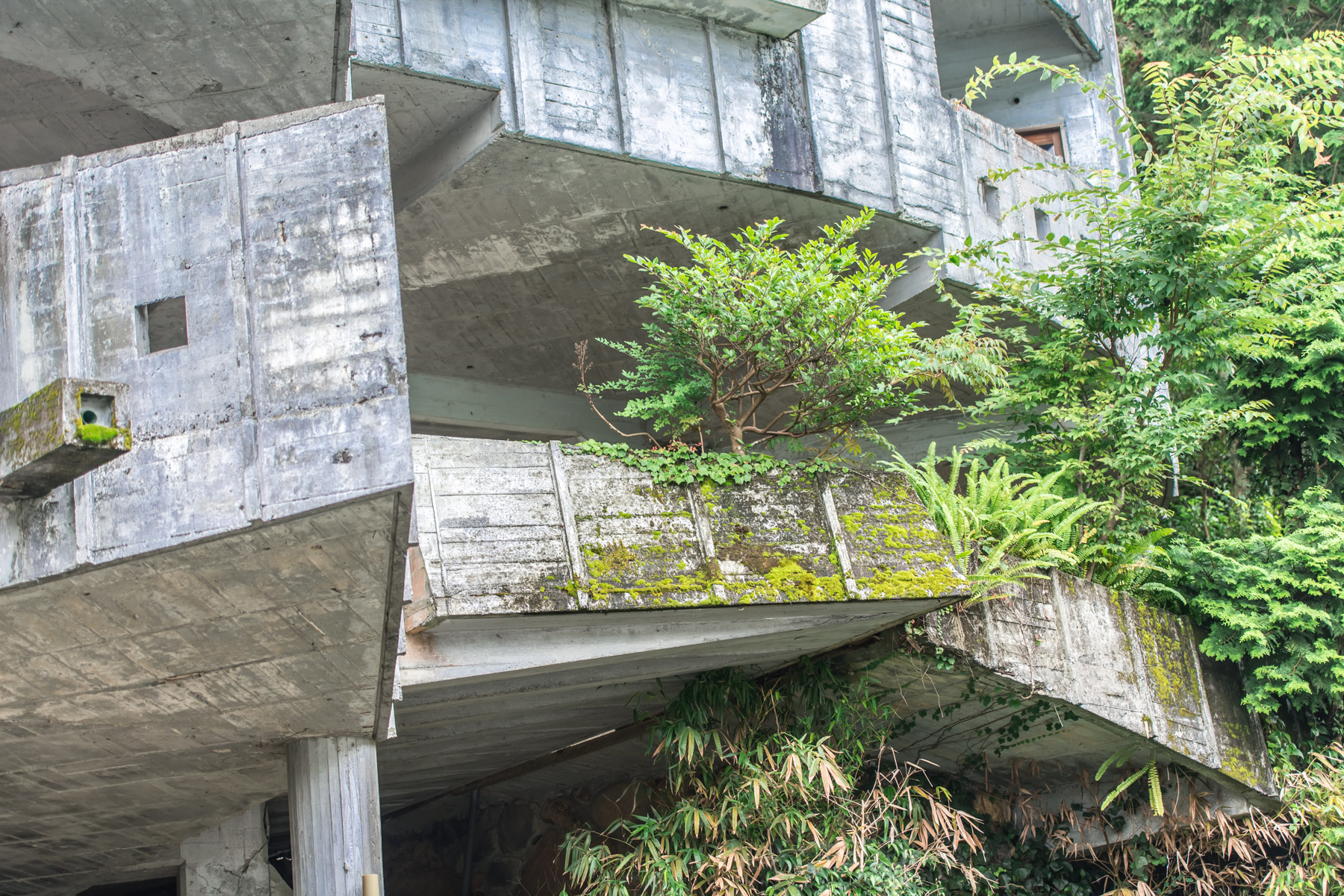 abandoned, chubu, haikyo, hospital, izu peninsula, japan, japanese, ruin, shizuoka, urban exploration, urbex