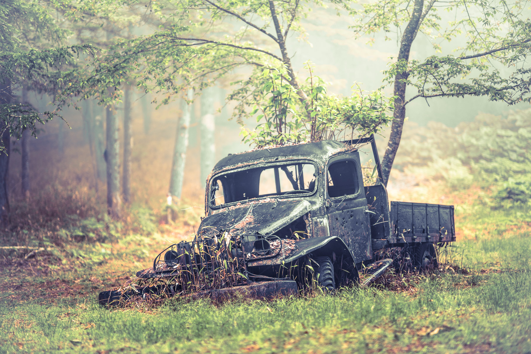 abandoned, car, chubu, haikyo, japan, japanese, ruin, thing, transport, transportation, urban exploration, urbex, yamanashi