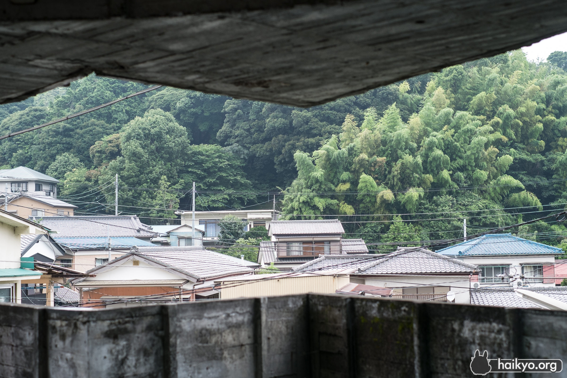 View On The Neighbours