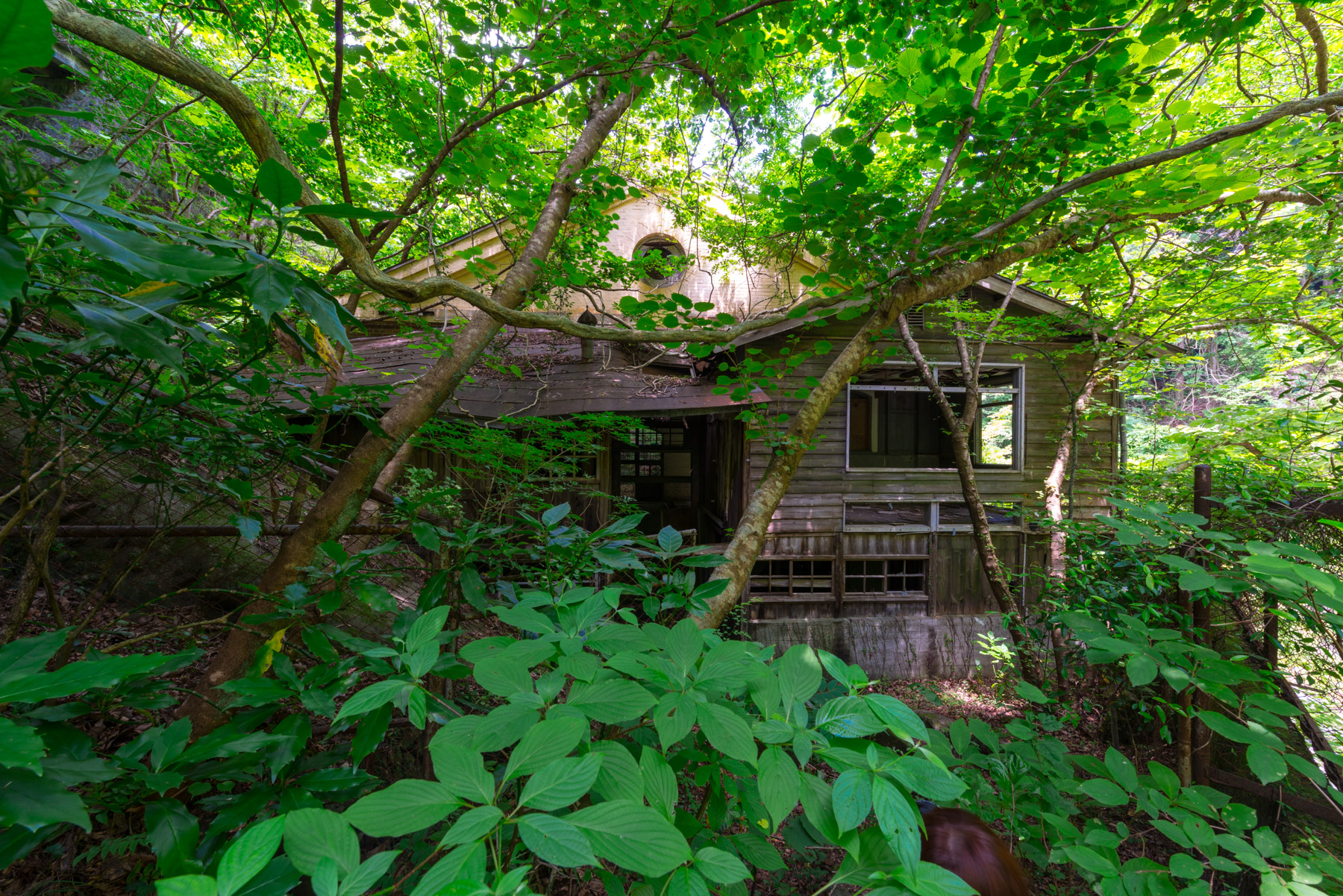 abandoned, haikyo, ruin, urban exploration, urbex