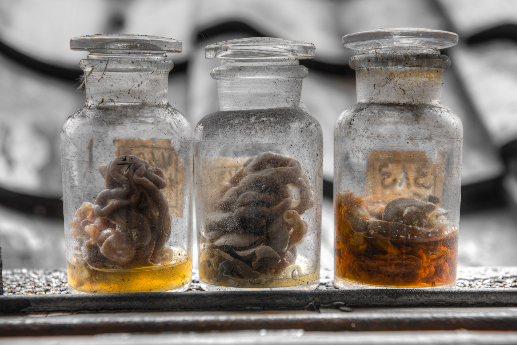 abandoned, aichi, chubu, haikyo, hospital, japan, japanese, nagoya, ruin, urban exploration, urbex