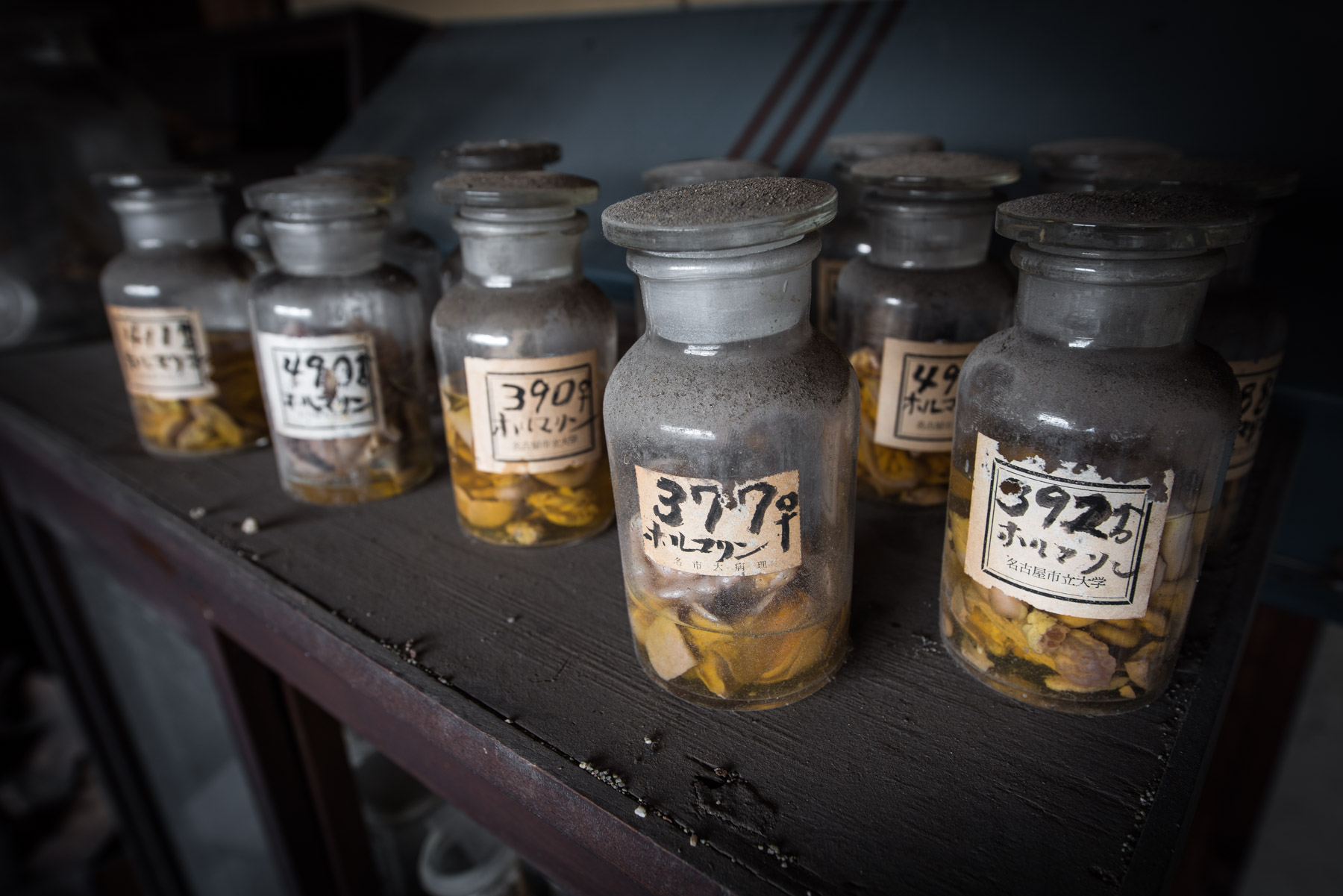 abandoned, aichi, chubu, haikyo, hospital, japan, japanese, nagoya, ruin, urban exploration, urbex