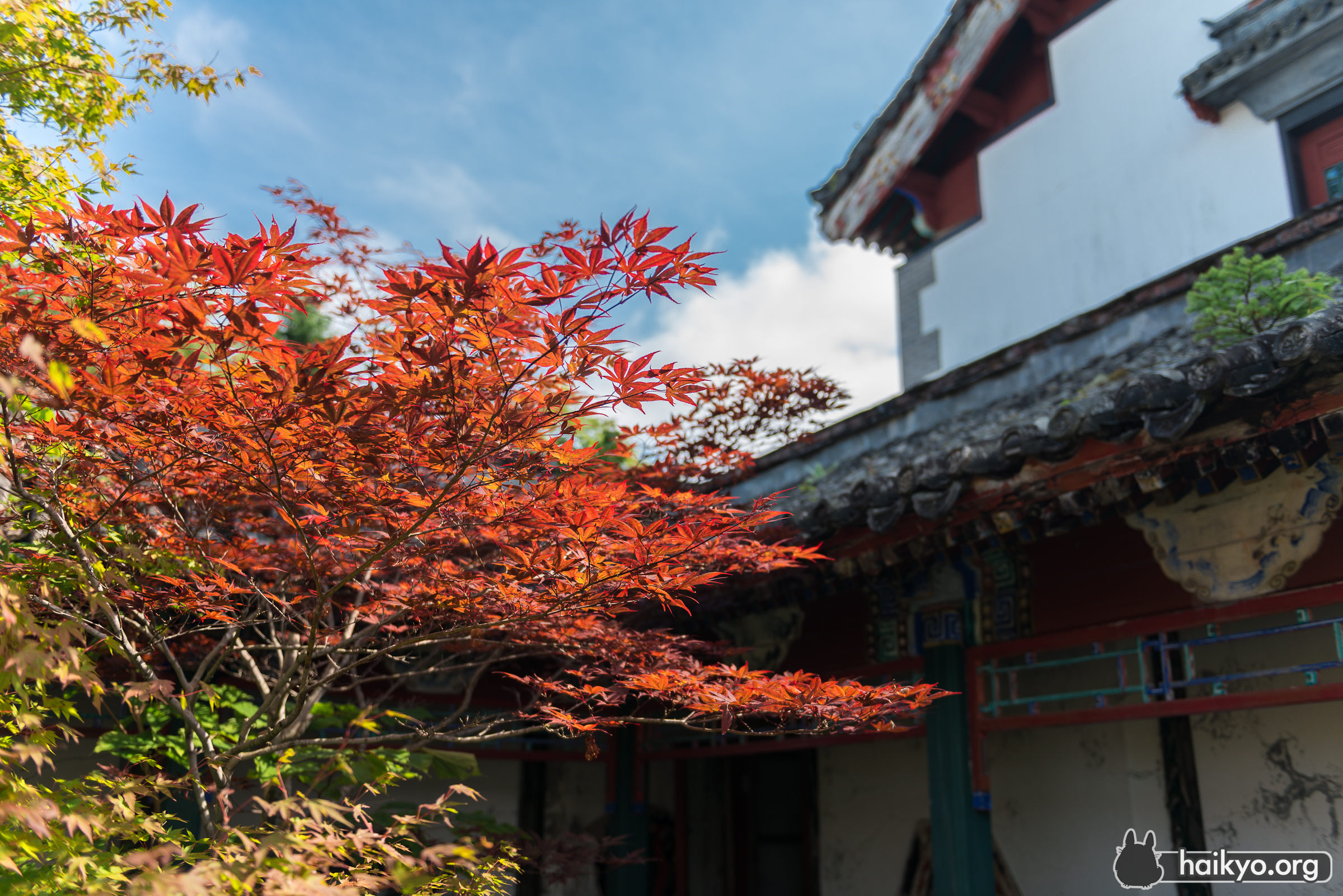 Chinese Atmosphere