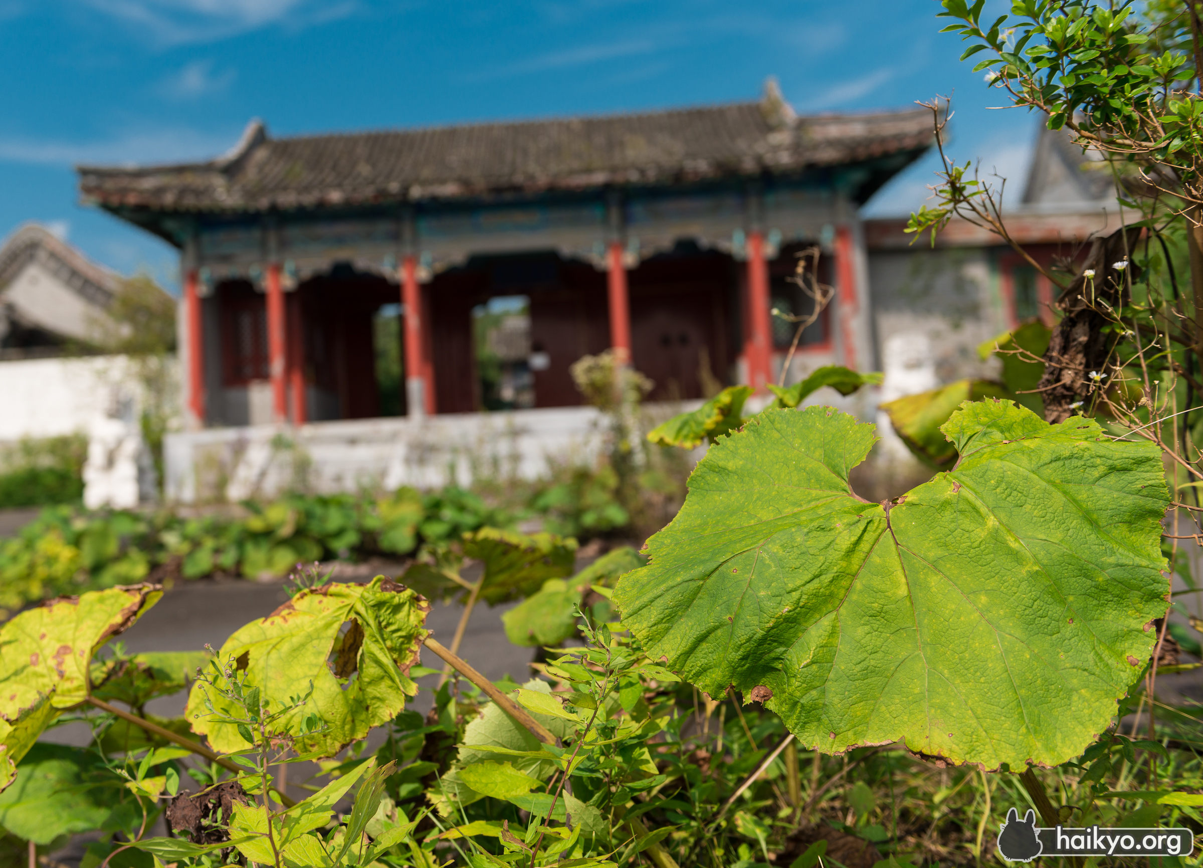 Chinese Garden
