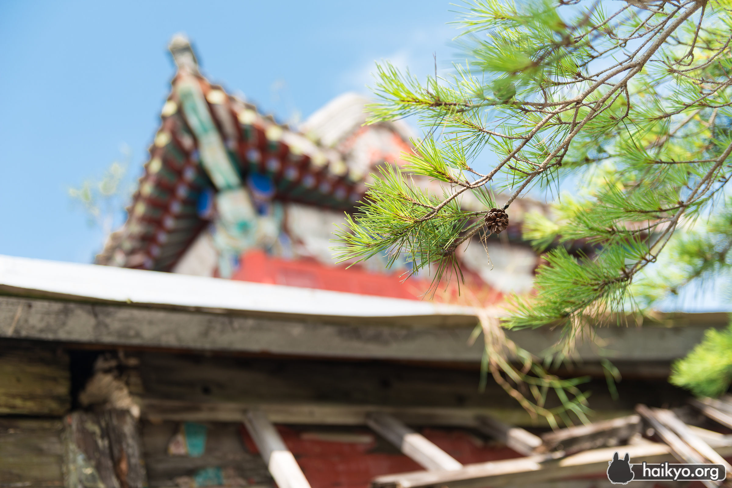 Chinese Spirit