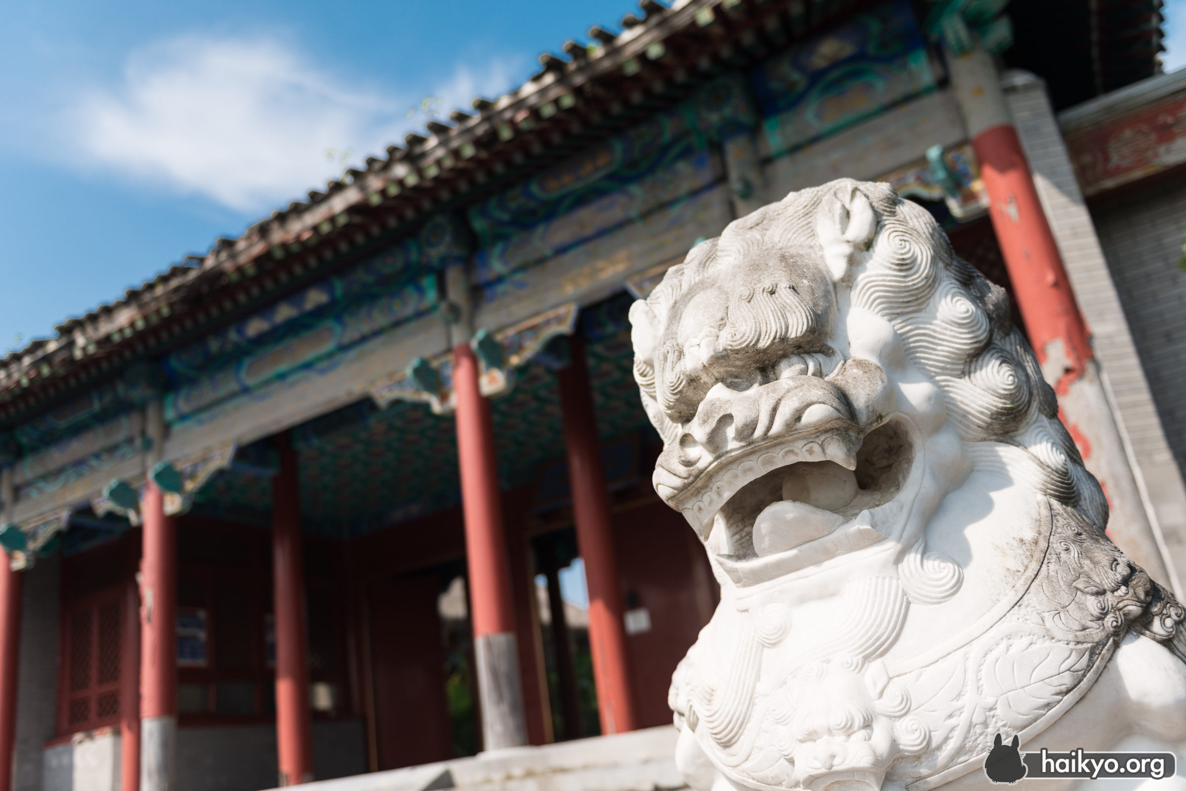 Chinese Tiger