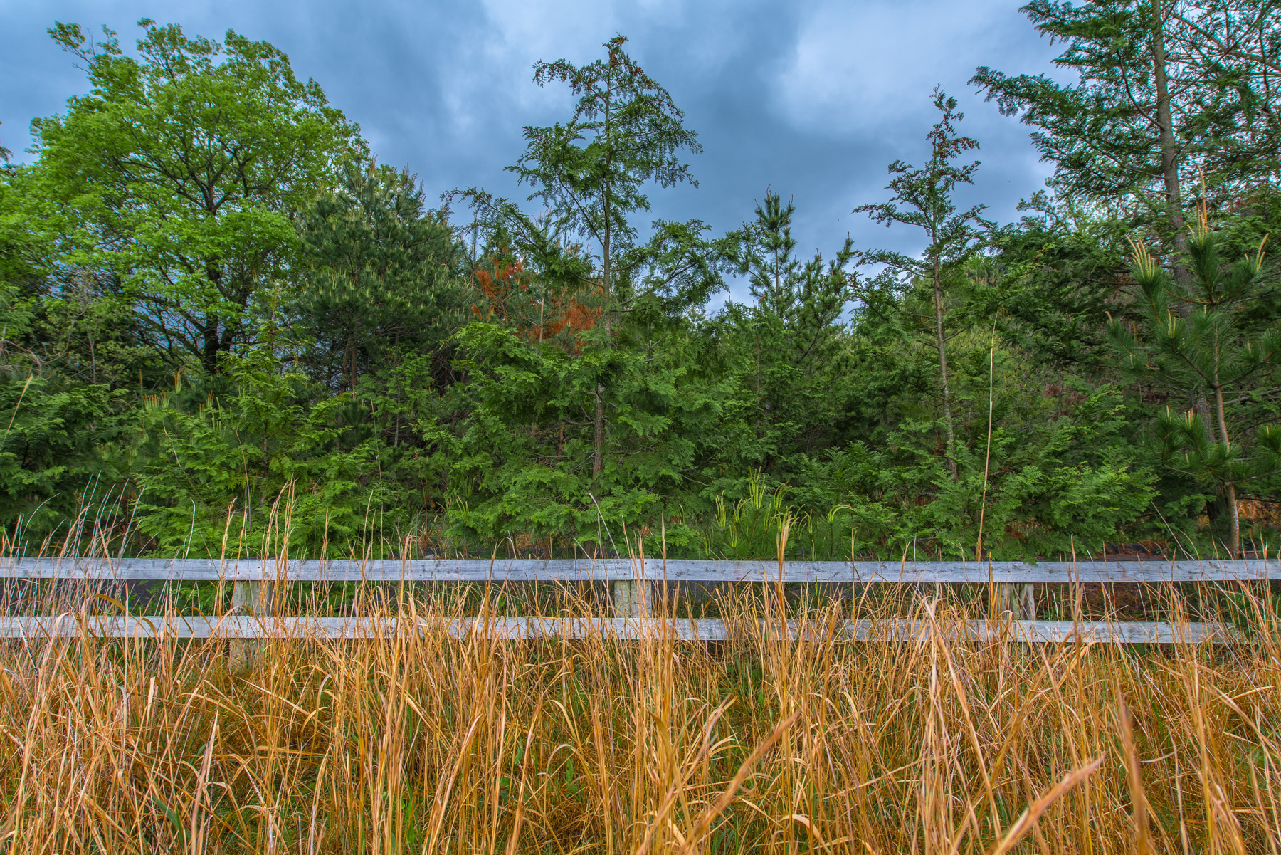 abandoned, amusement-park, attraction-park, chugoku, haikyo, japan, japanese, ruin, theme-park, urban exploration, urbex, yamaguchi