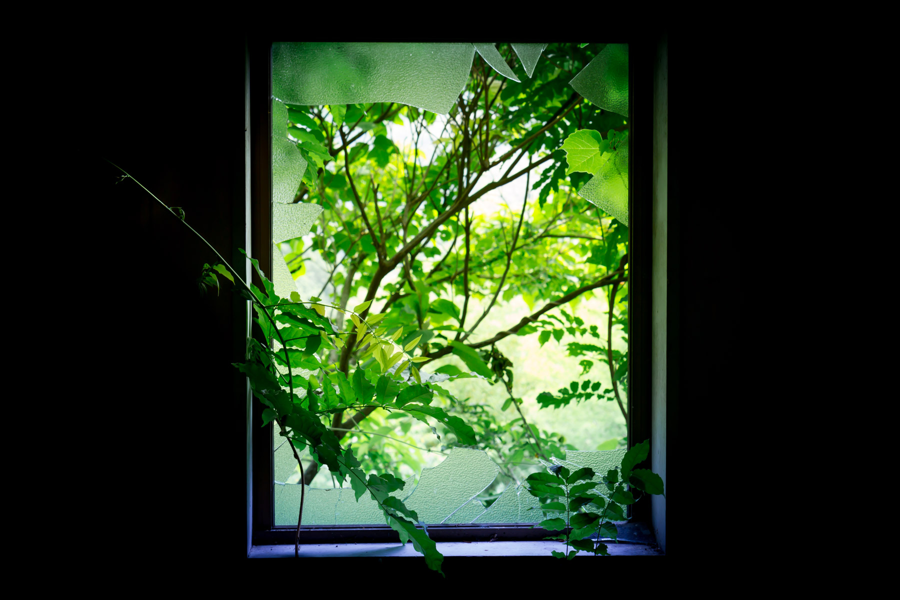 abandoned, amusement-park, attraction-park, chubu, haikyo, izu peninsula, japan, japanese, ruin, shizuoka, theme-park, urban exploration, urbex