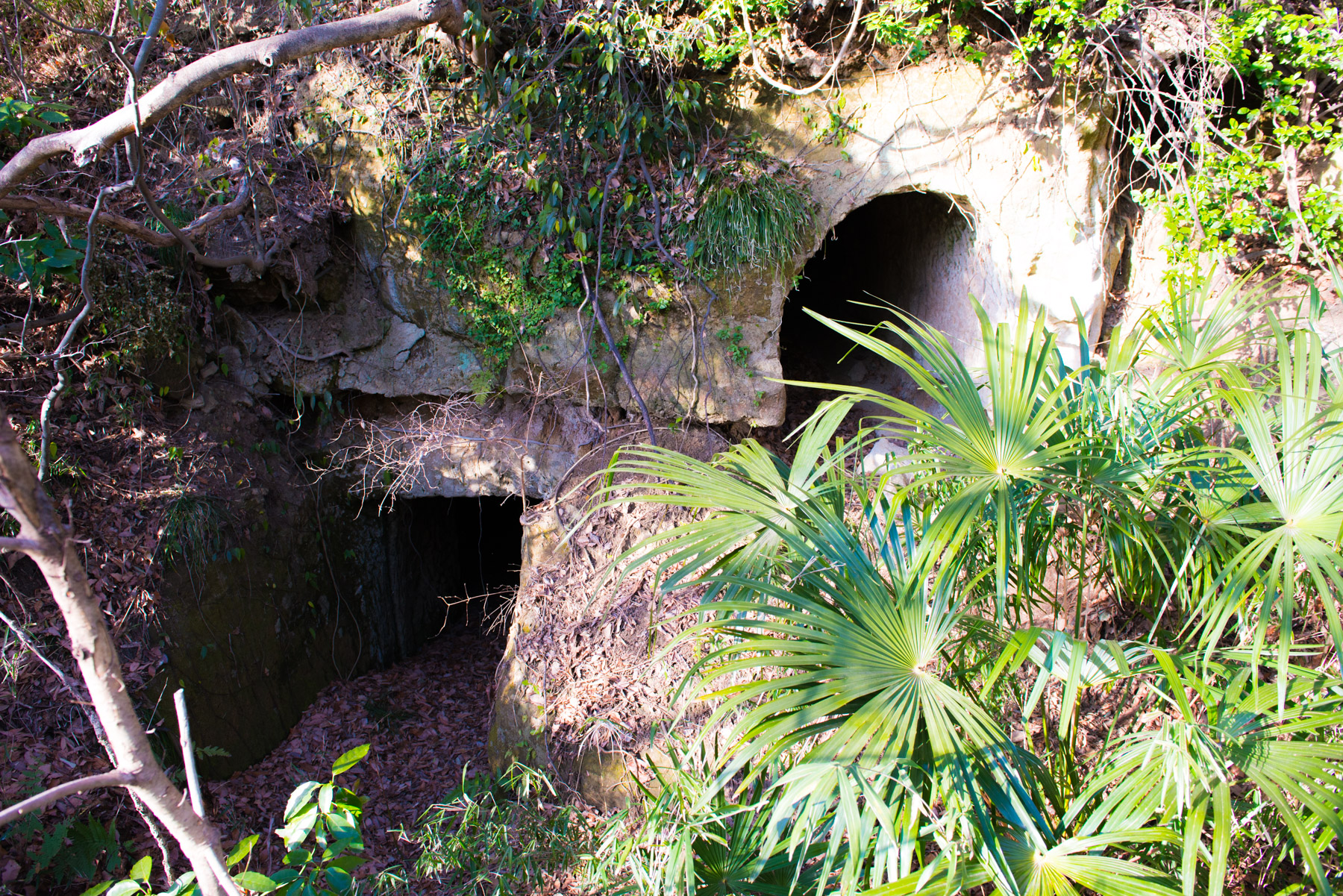 abandoned, haikyo, japan, japanese, kanagawa, kanto, ruin, underground, urban exploration, urbex