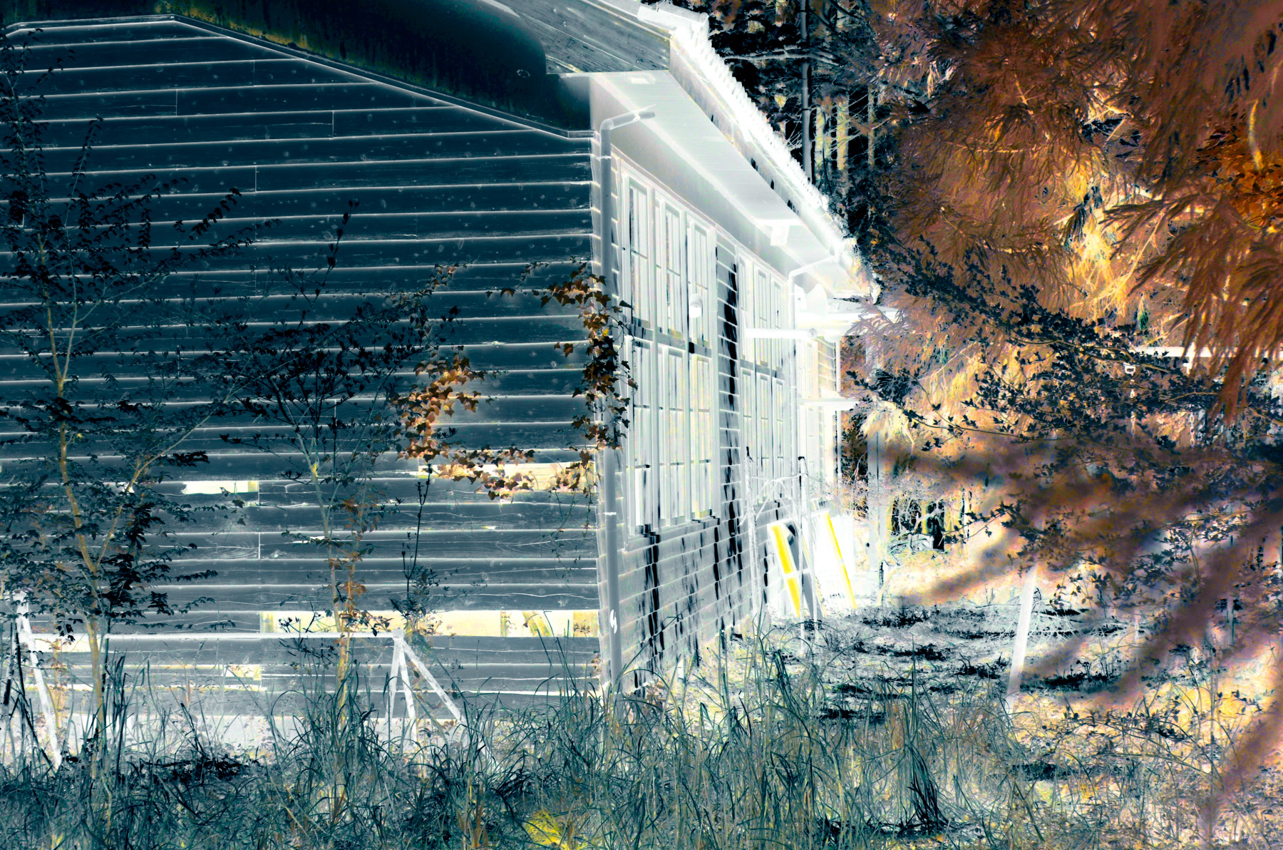 abandoned, chubu, haikyo, infrared, japan, japanese, ruin, school, shizuoka, special, urban exploration, urbex