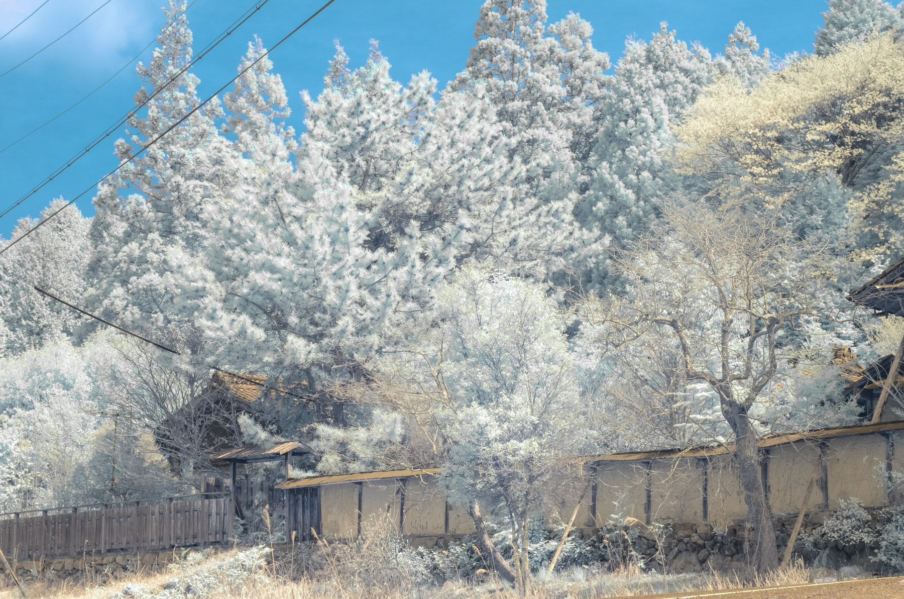 abandoned, chubu, gifu, haikyo, hospital, infrared, japan, japanese, ruin, special, urban exploration, urbex